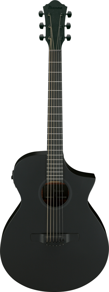 Ibanez AEWC621 Acoustic Guitar - Black Out