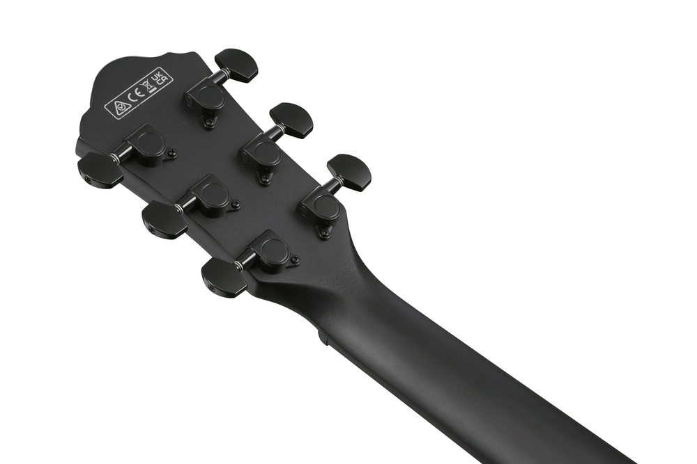 Ibanez AEWC621 Acoustic Guitar - Black Out