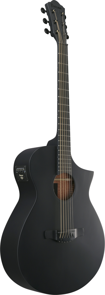 Ibanez AEWC621 Acoustic Guitar - Black Out