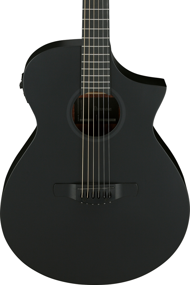 Ibanez AEWC621 Acoustic Guitar - Black Out