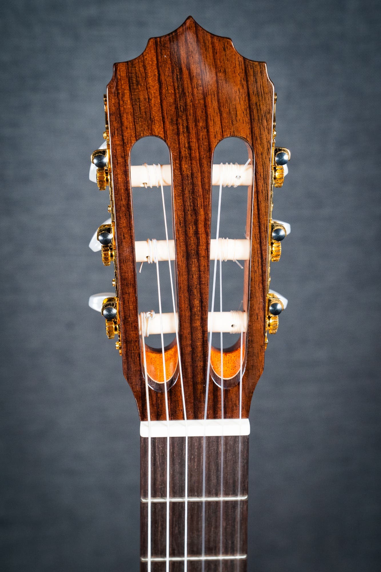 Altamira N300CT Classical / Nylon String w/Cutaway + Pickup - Cedar / Rosewood