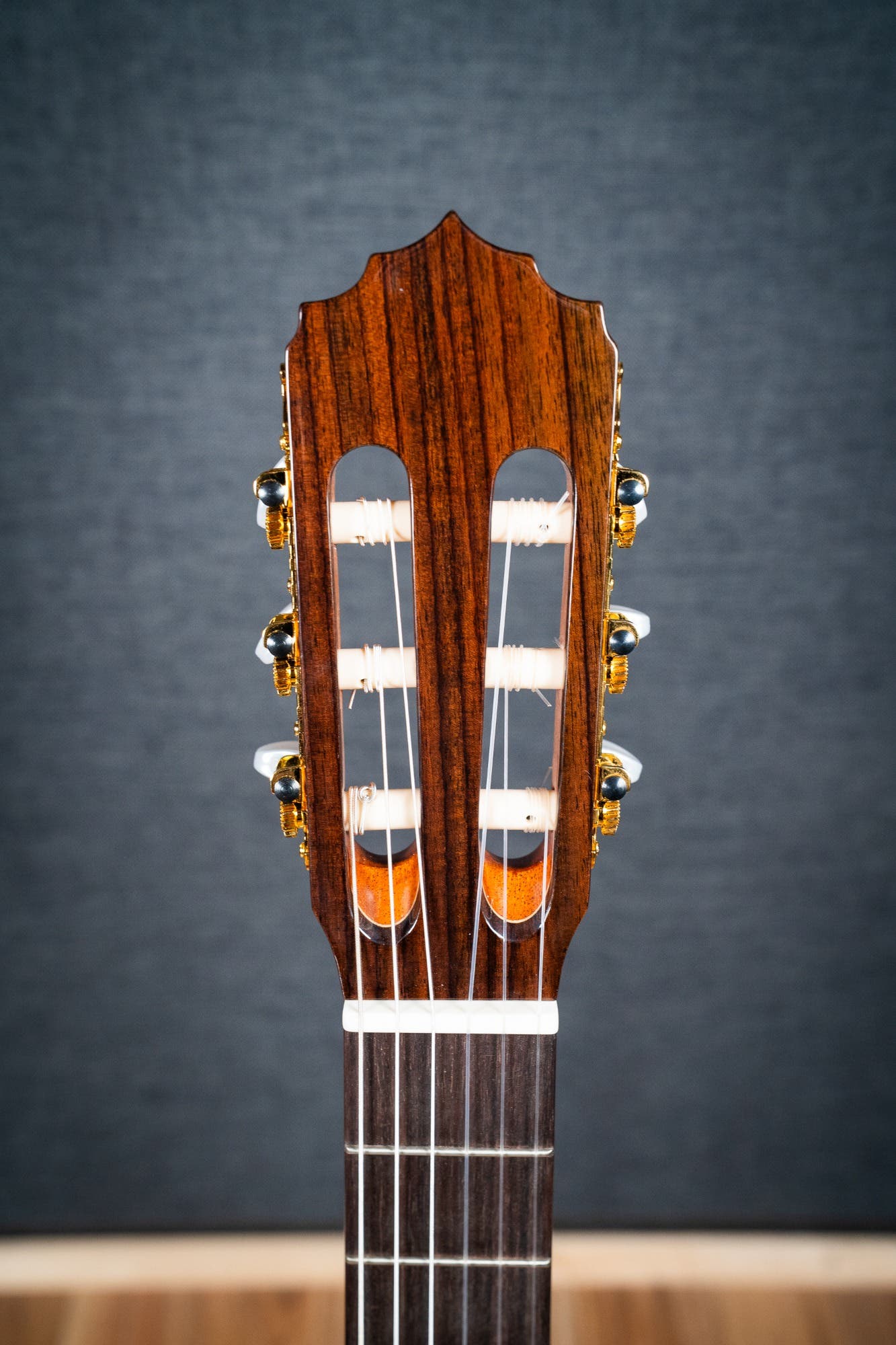 Altamira N300CT Classical / Nylon String w/Cutaway + Pickup - Cedar / Rosewood