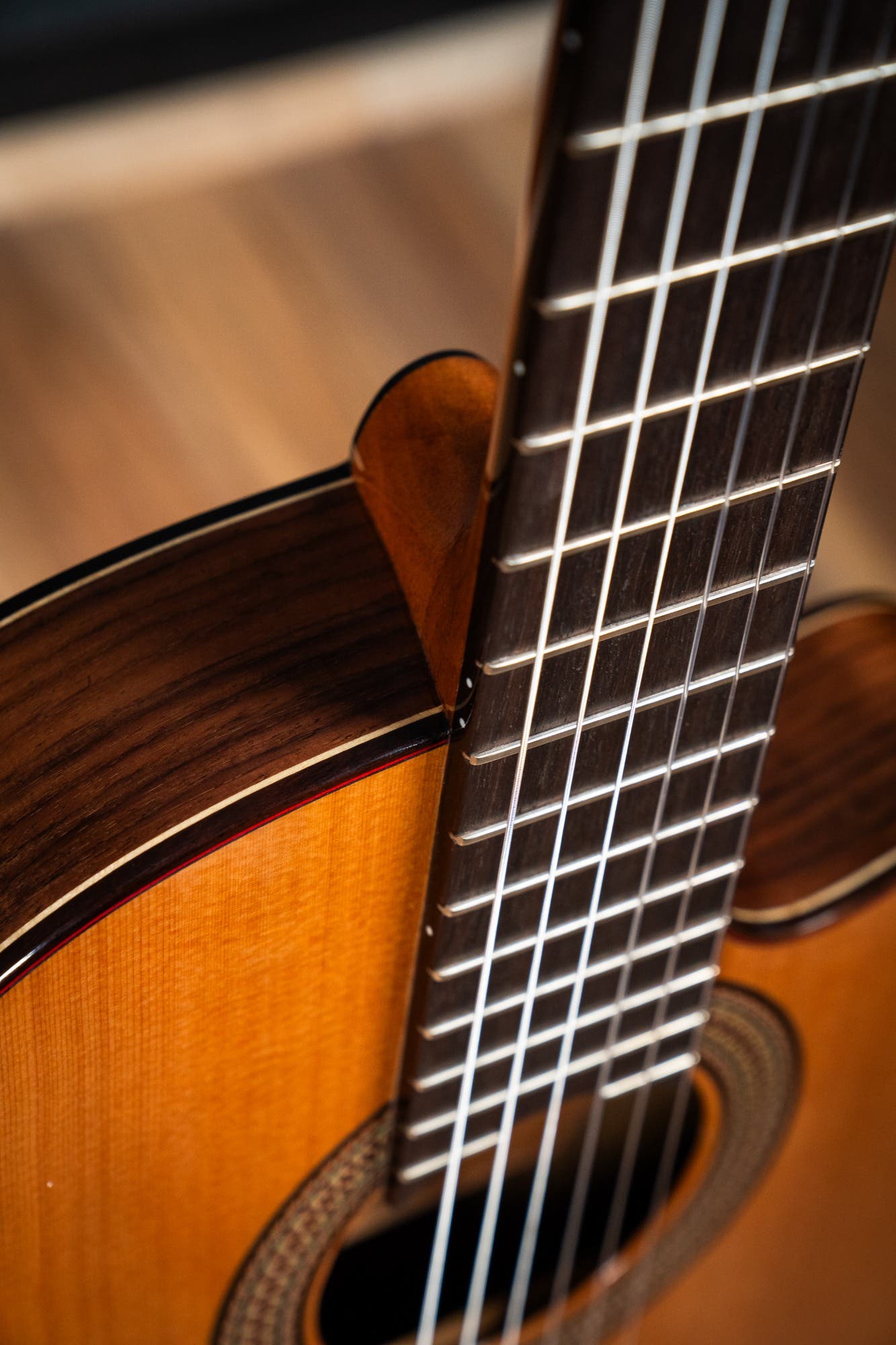 Altamira N300CT Classical / Nylon String w/Cutaway + Pickup - Cedar / Rosewood