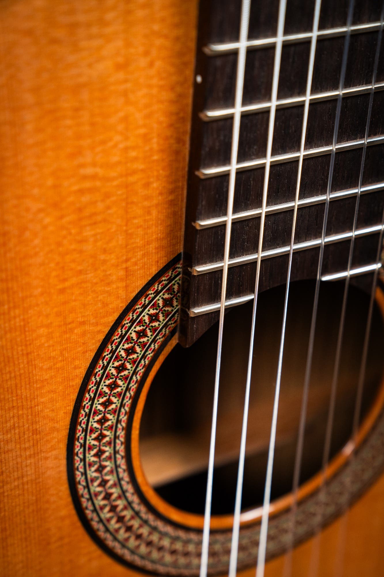 Altamira N300CT Classical / Nylon String w/Cutaway + Pickup - Cedar / Rosewood