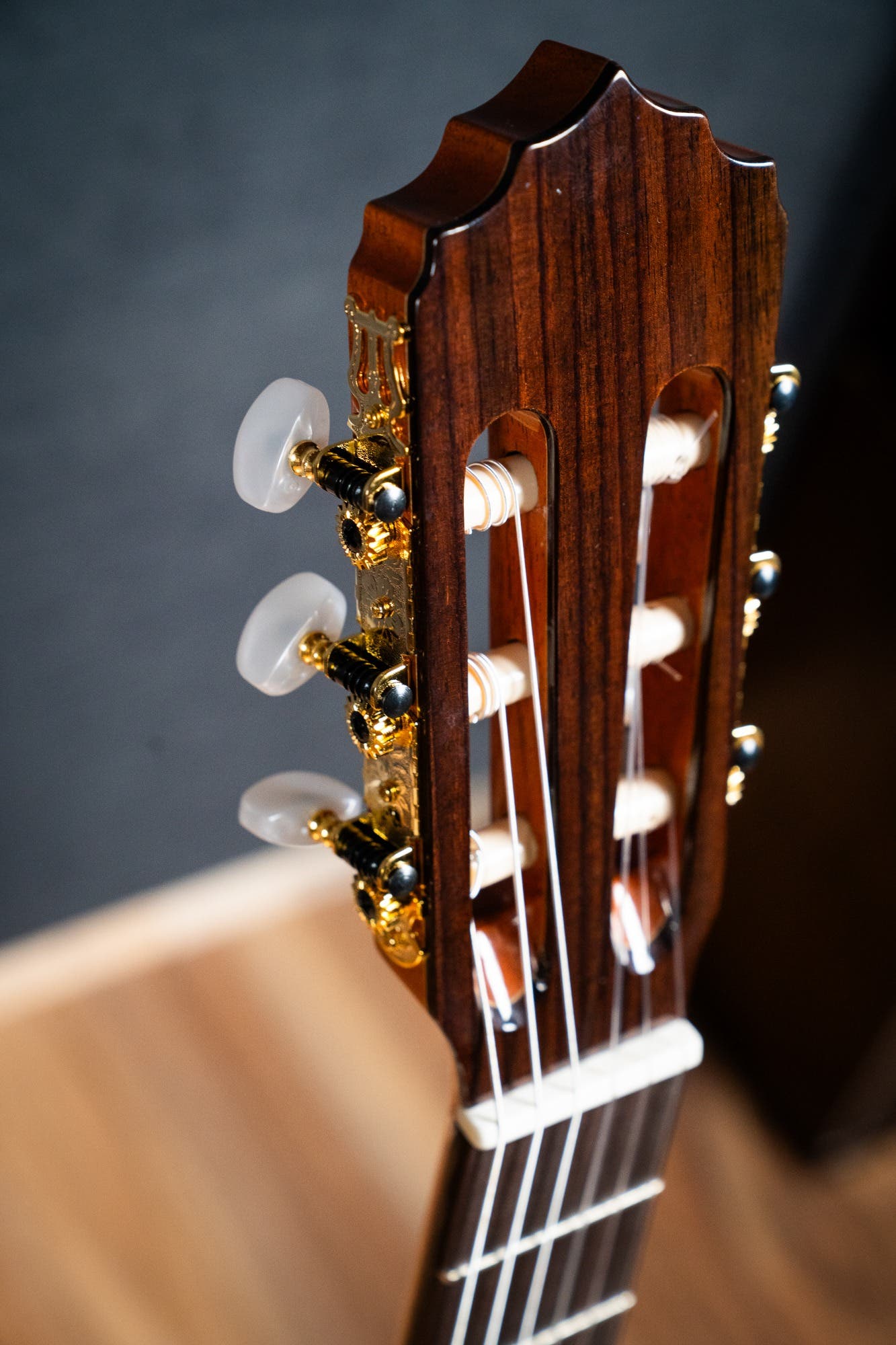 Altamira N300CT Classical / Nylon String w/Cutaway + Pickup - Cedar / Rosewood