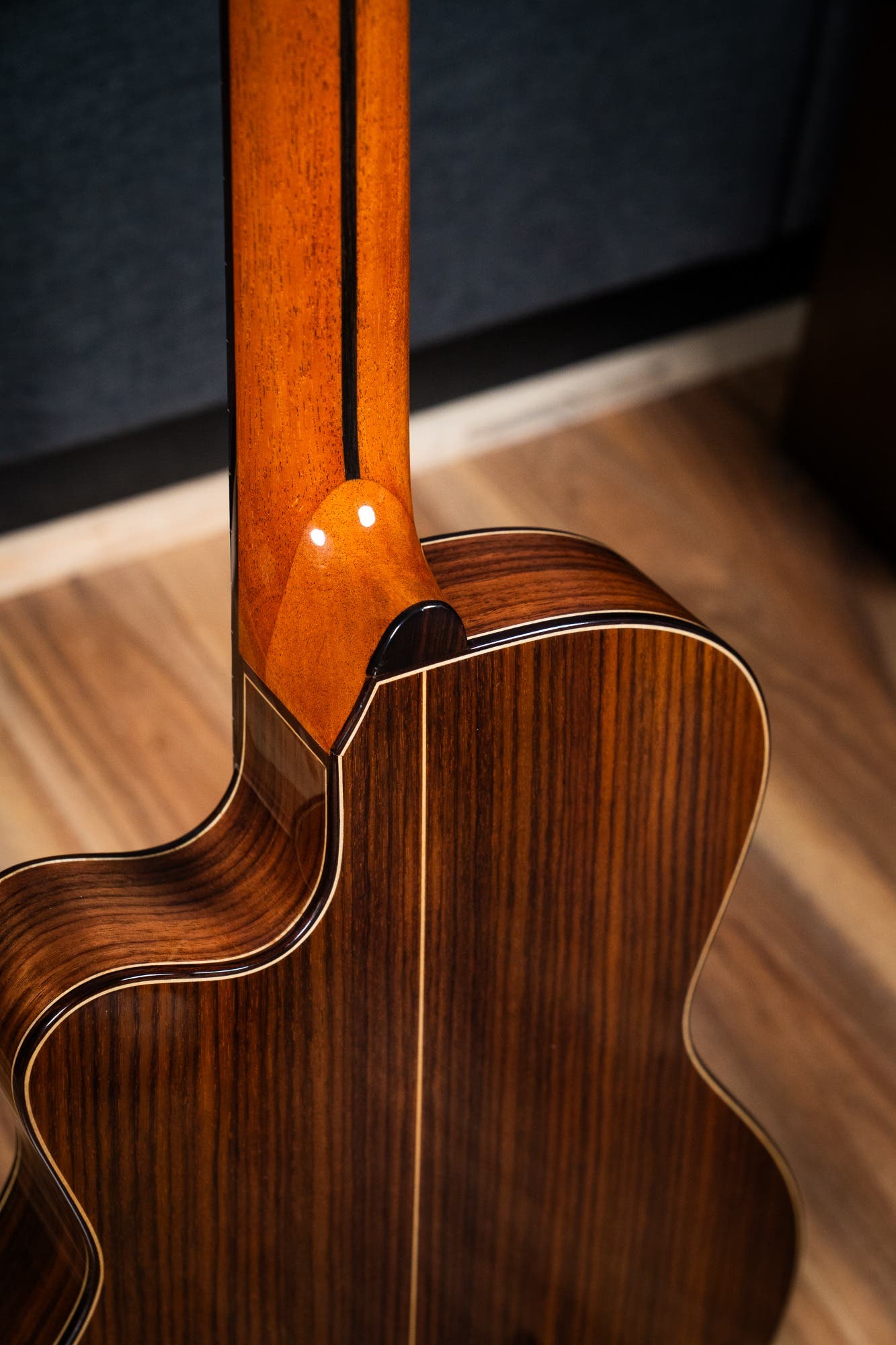 Altamira N300CT Classical / Nylon String w/Cutaway + Pickup - Cedar / Rosewood