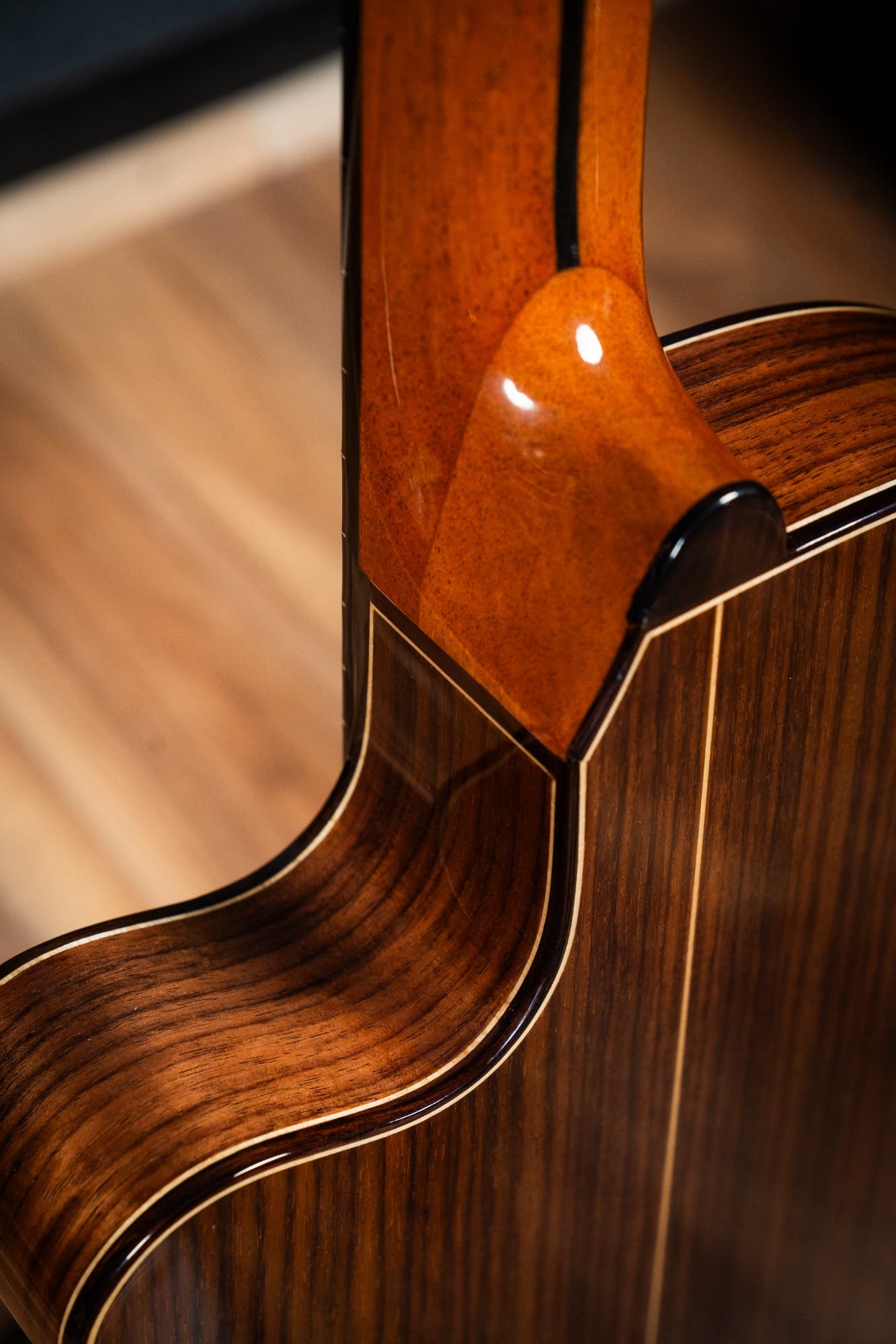 Altamira N300CT Classical / Nylon String w/Cutaway + Pickup - Cedar / Rosewood