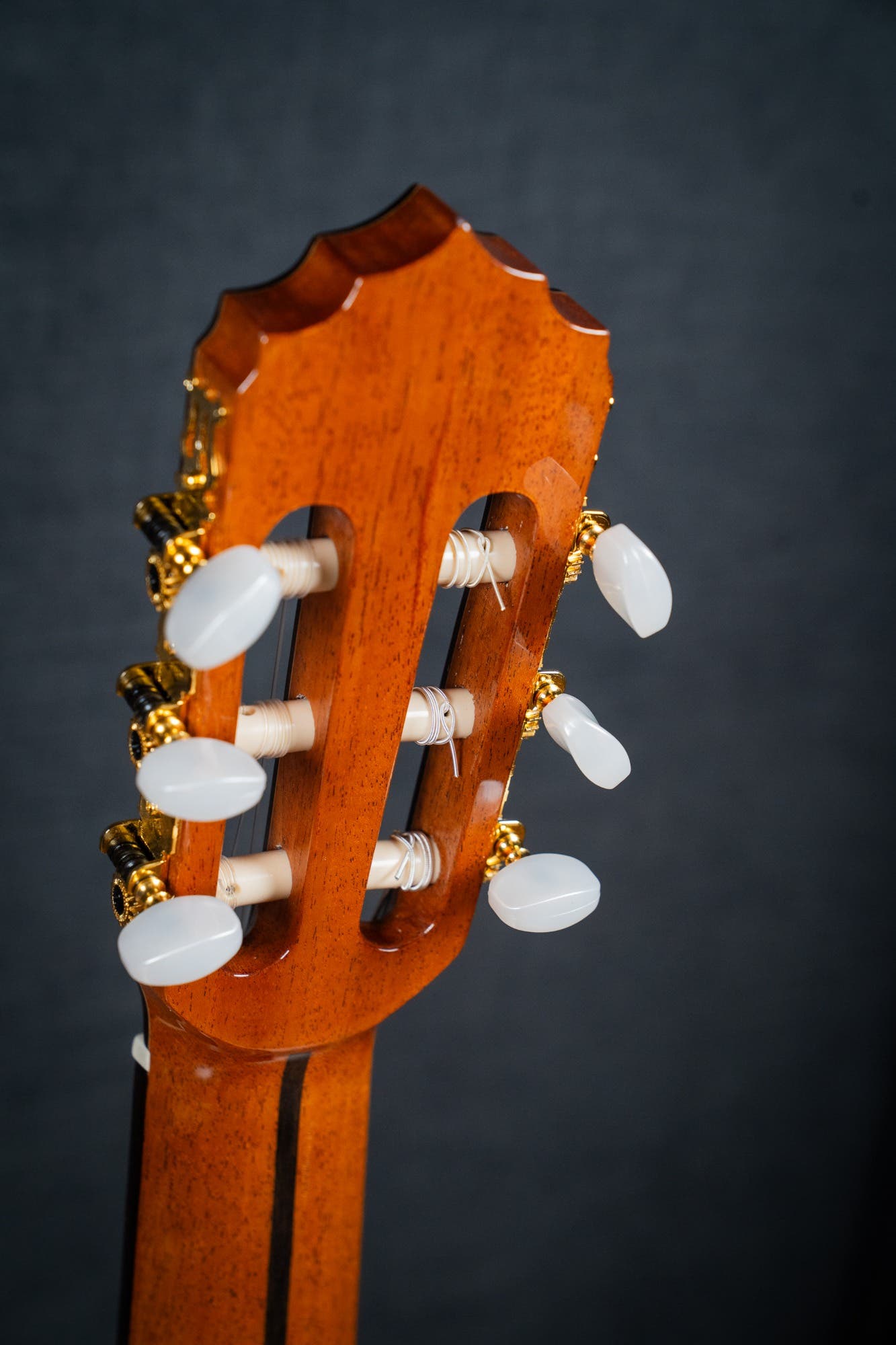 Altamira N300CT Classical / Nylon String w/Cutaway + Pickup - Cedar / Rosewood