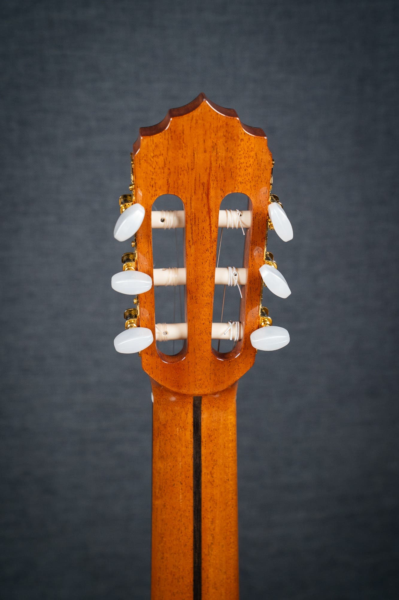 Altamira N300CT Classical / Nylon String w/Cutaway + Pickup - Cedar / Rosewood