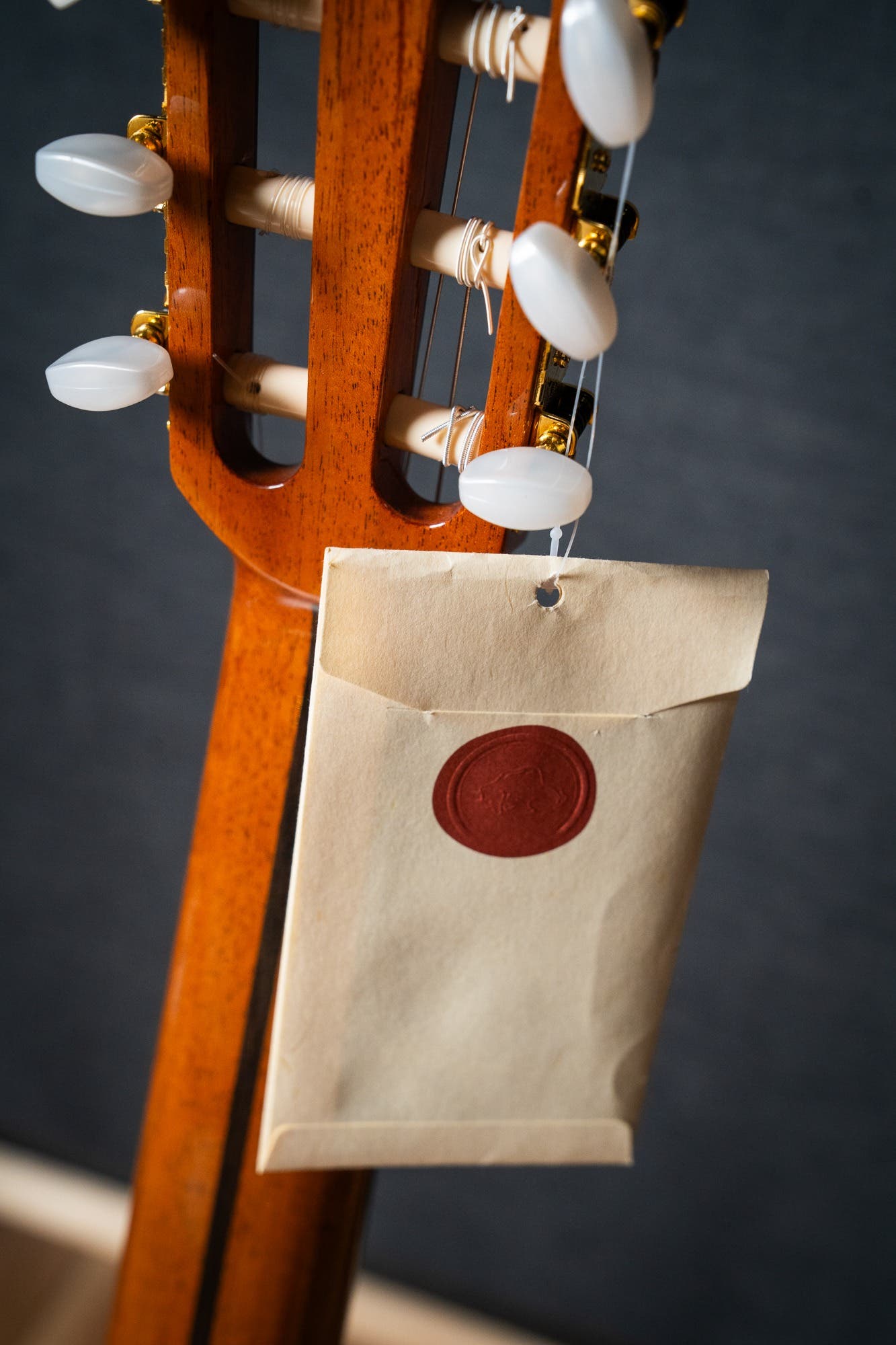 Altamira N300CT Classical / Nylon String w/Cutaway + Pickup - Cedar / Rosewood