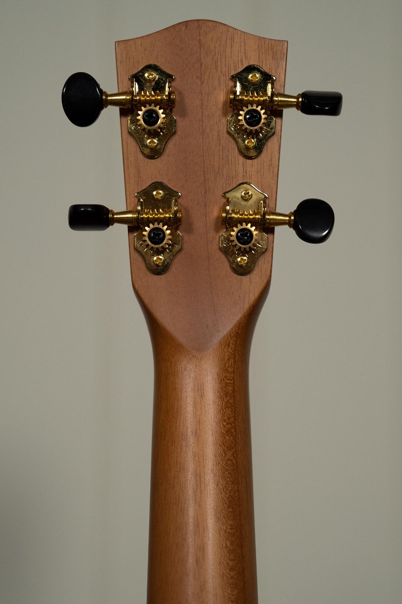 Pono ATD Tenor Deluxe Ukulele - Acacia (PONO-ATD)