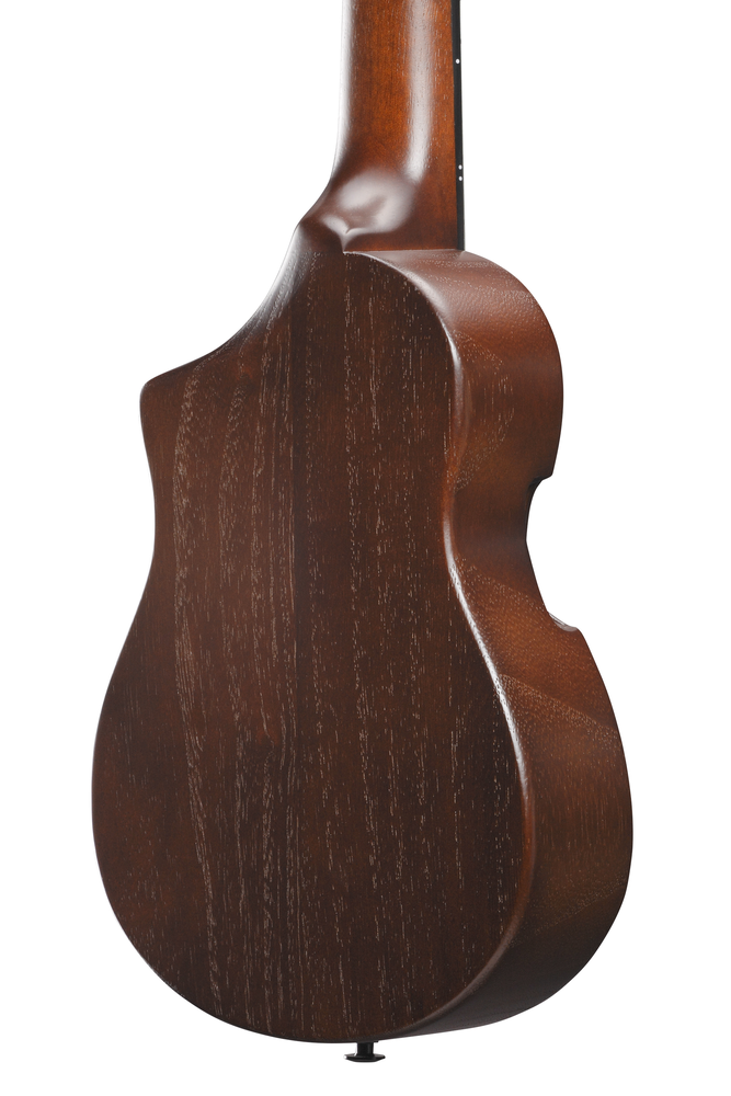 Ibanez AUP10N Ukulele w/ Bag - Open Pore Light Brown Sunburst