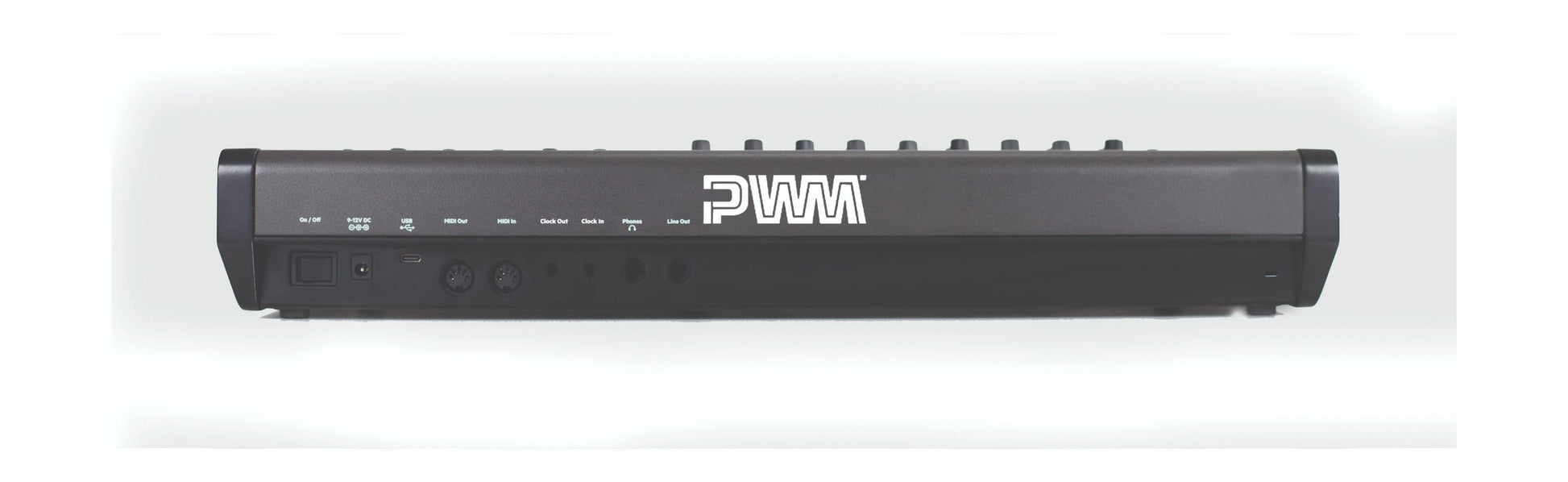 PWM Malevolent Semi-Modular Analog Mono Synth