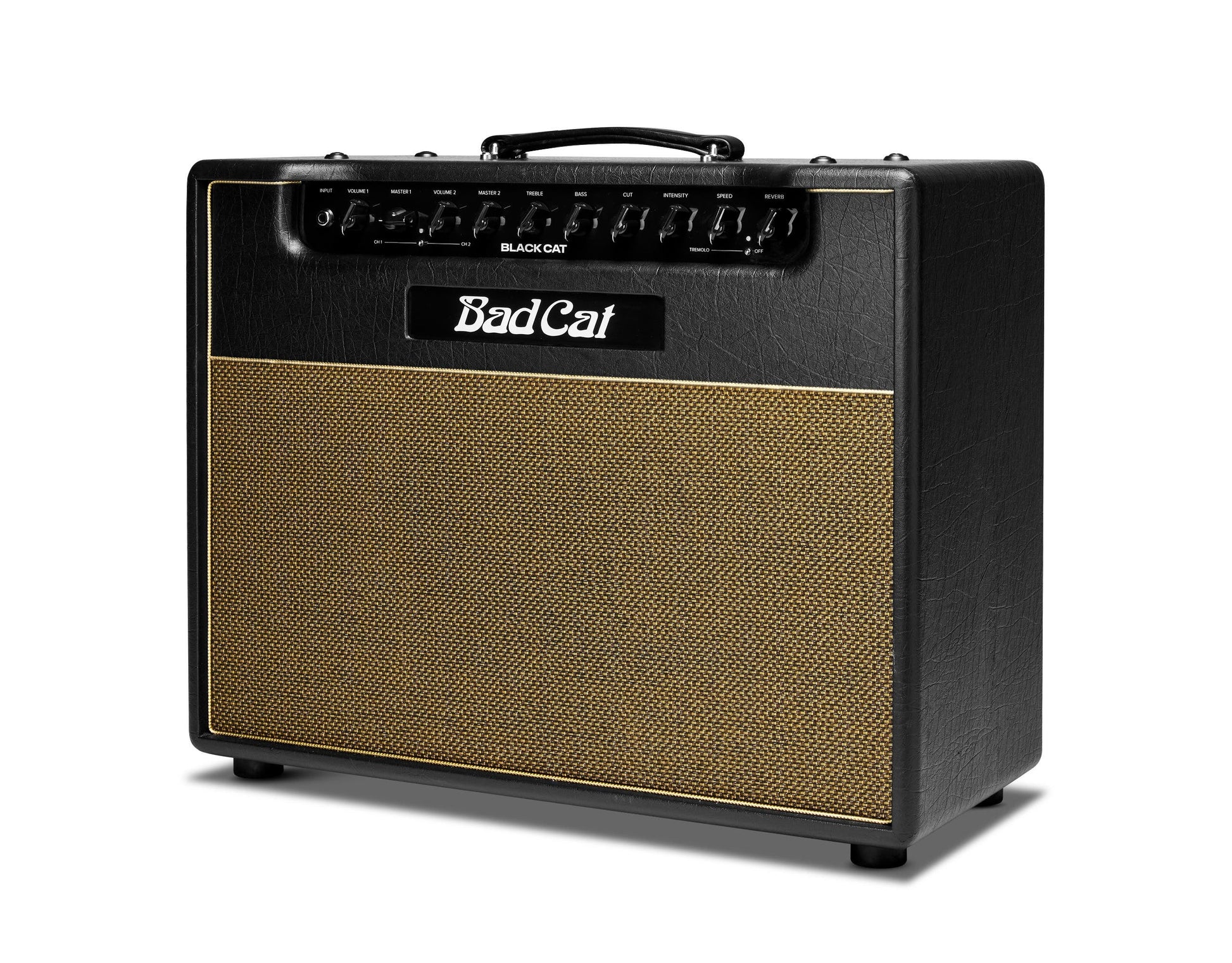 Bad Cat Player Series II Black Cat 1x12 Combo 20w