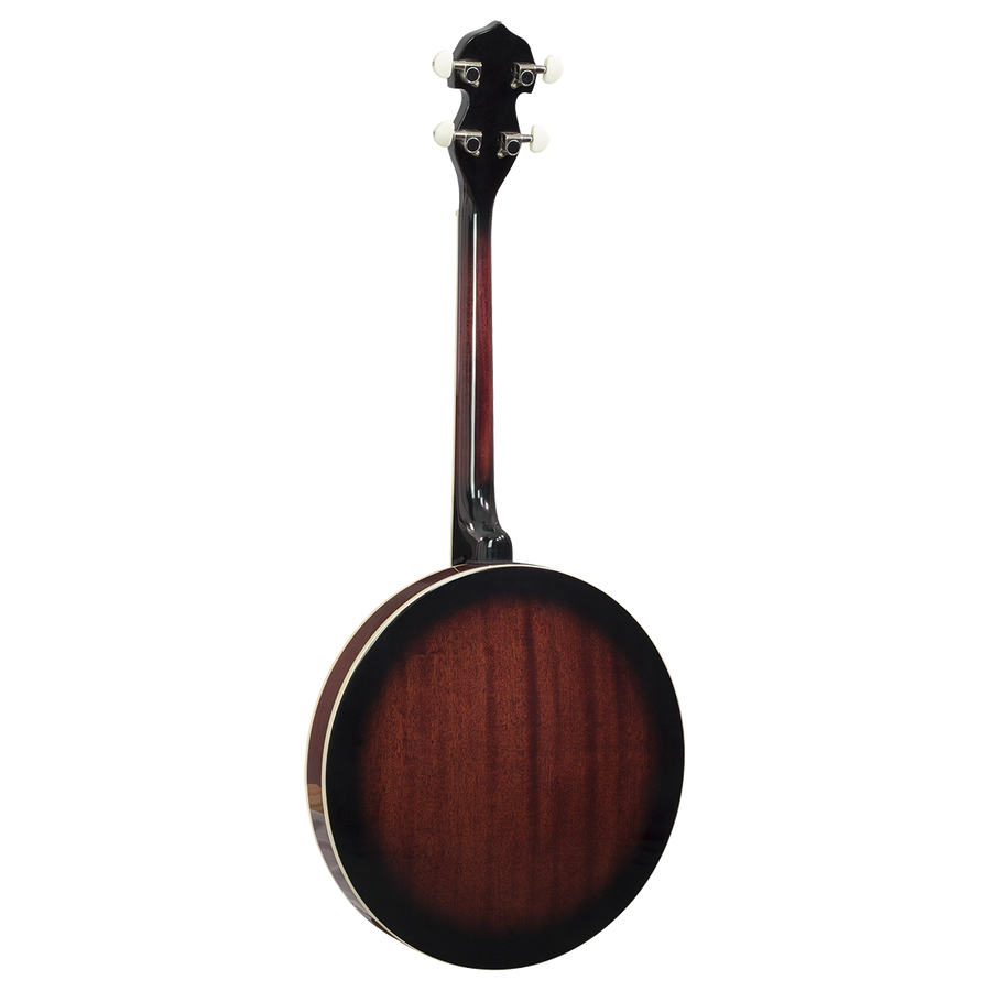 Barnes & Mullins 'Perfect' 4-String Gaelic Tenor Banjo