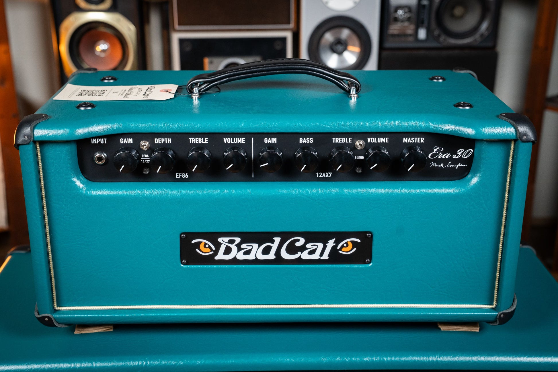 Bad Cat CUSTOM Era 30 Hand-wired Amp Head - Antique Green / Gold Piping (Custom Finish)