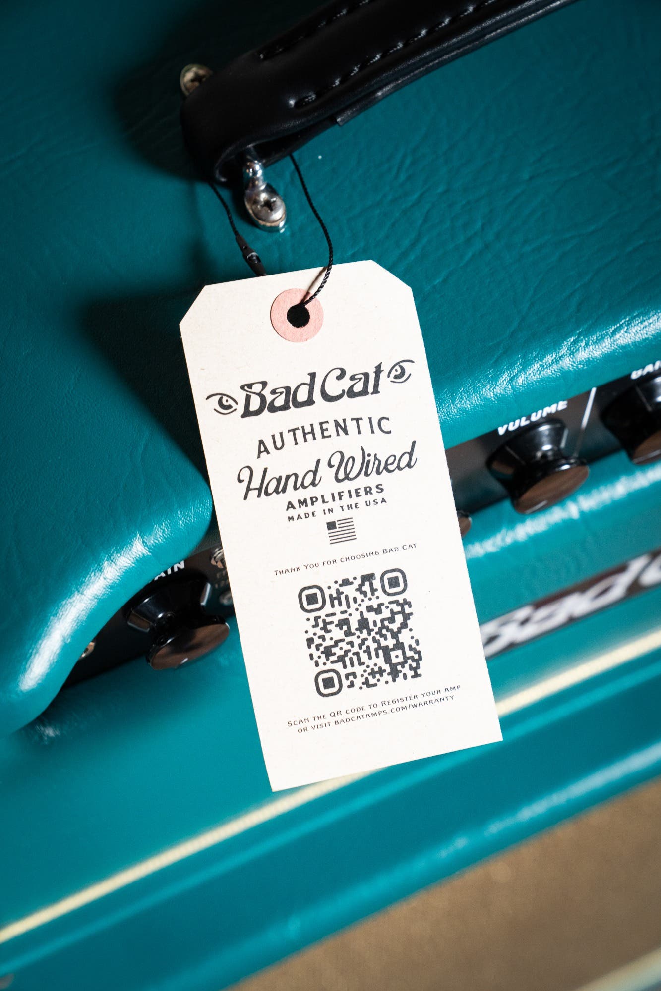 Bad Cat CUSTOM Era 30 Hand-wired Amp Head - Antique Green / Gold Piping (Custom Finish)