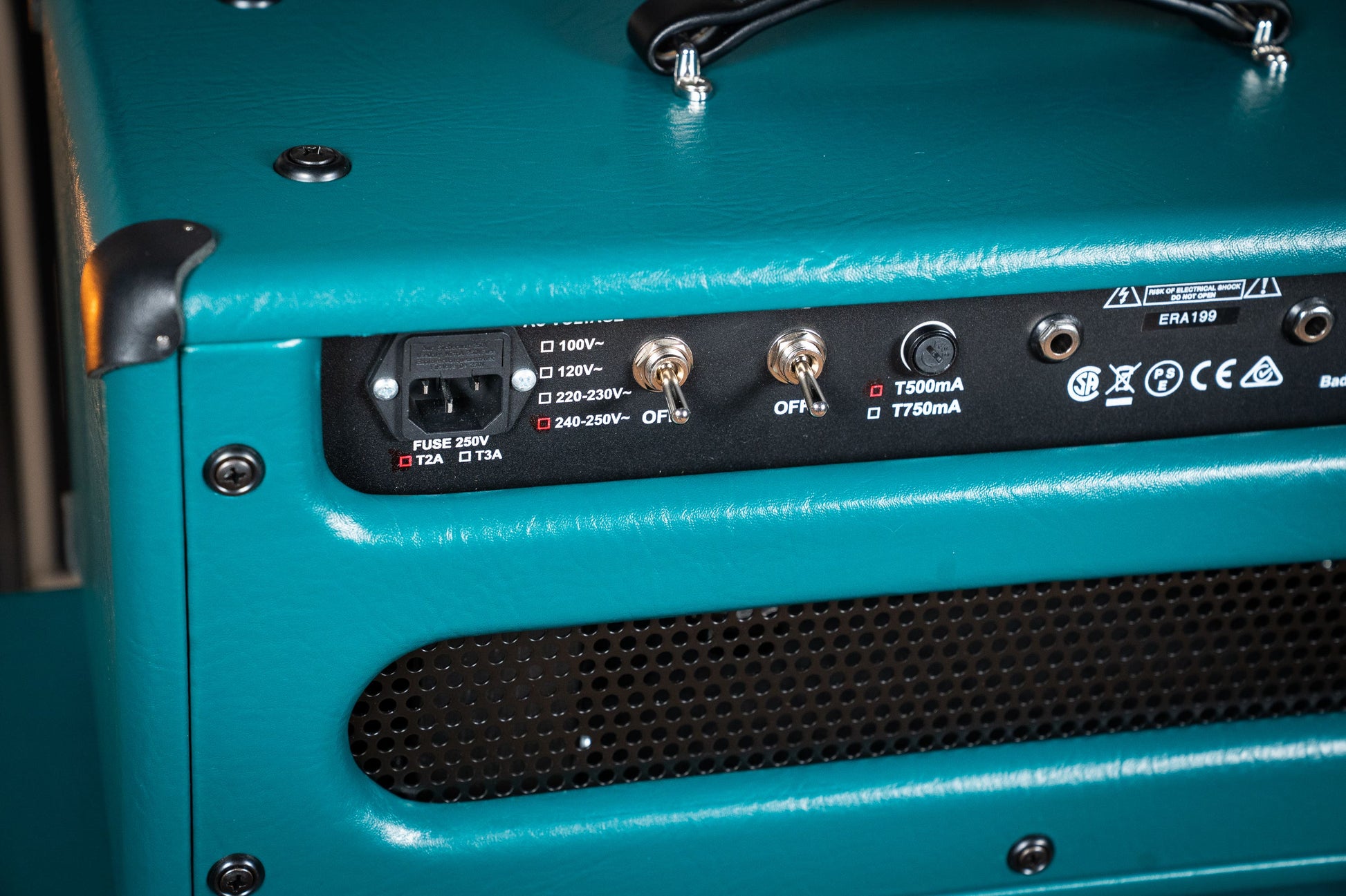 Bad Cat CUSTOM Era 30 Hand-wired Amp Head - Antique Green / Gold Piping (Custom Finish)