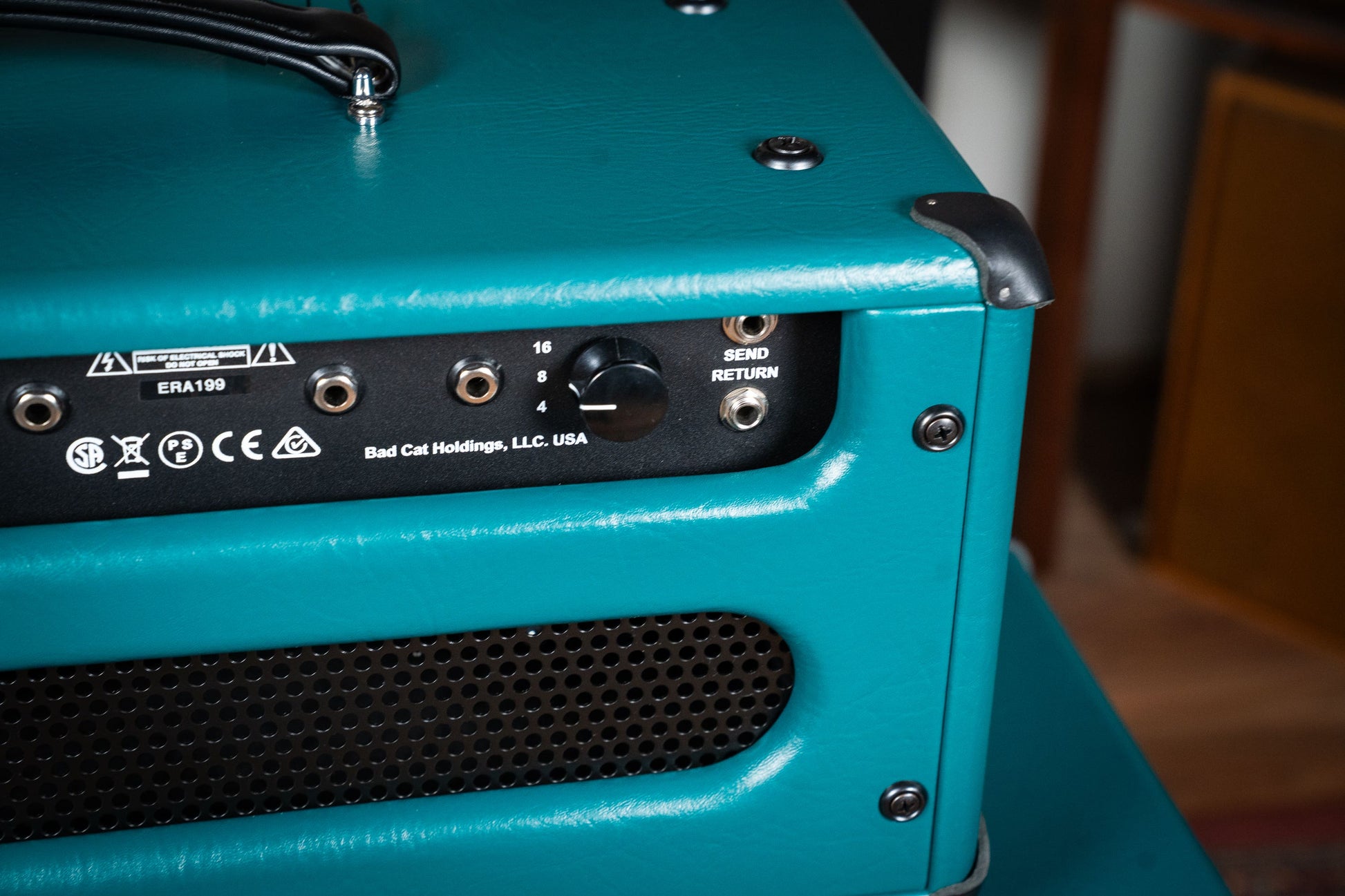 Bad Cat CUSTOM Era 30 Hand-wired Amp Head - Antique Green / Gold Piping (Custom Finish)