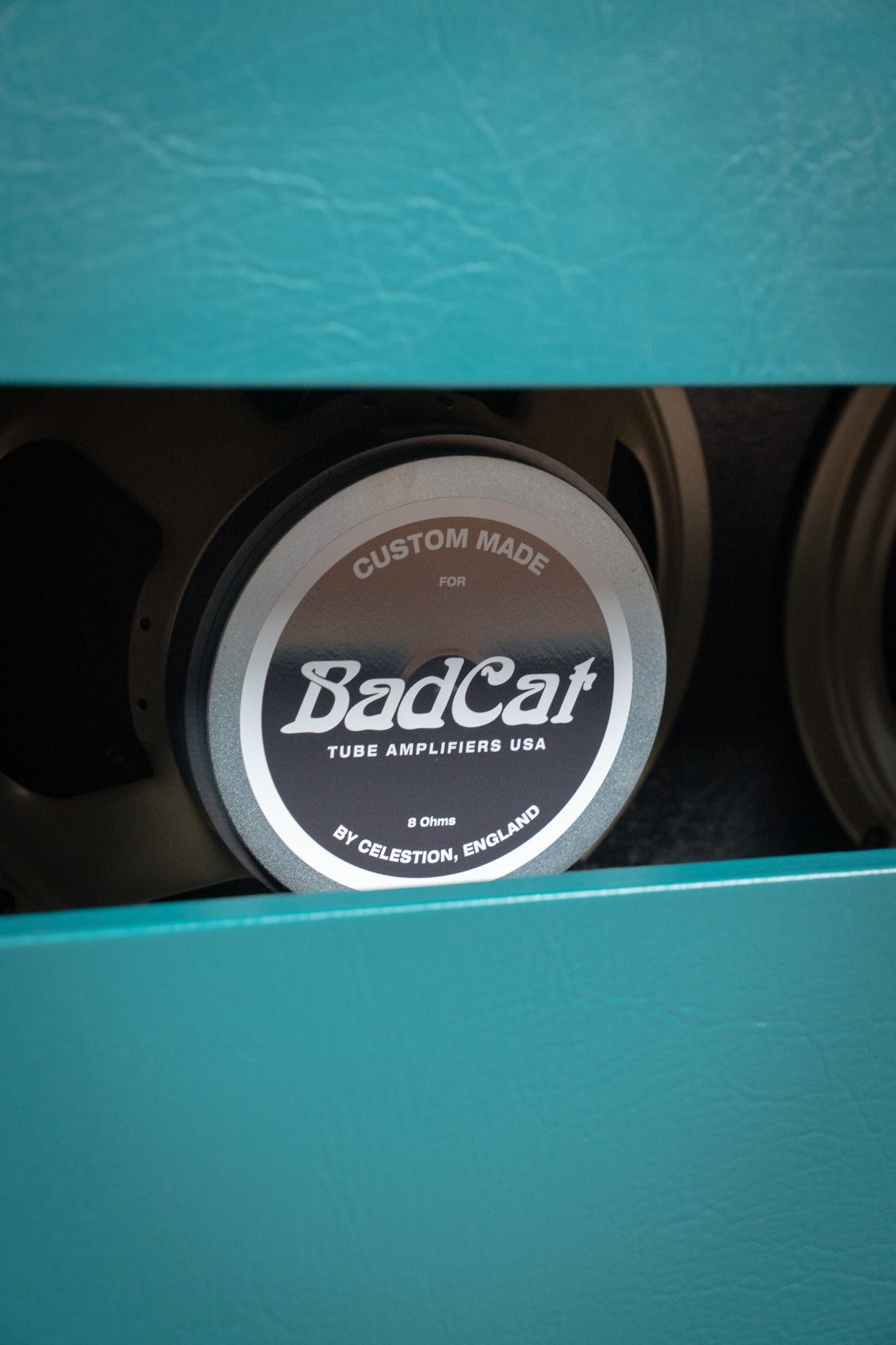 Bad Cat CUSTOM Era 30 2x12" Guitar Cab - Antique Green / Gold Piping