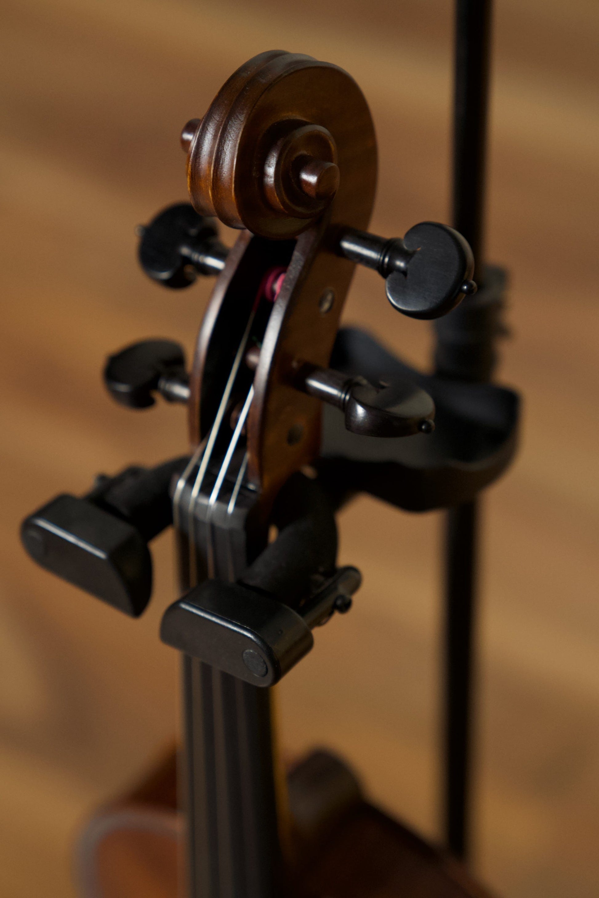 Enrico Custom Violin with Tonica Strings