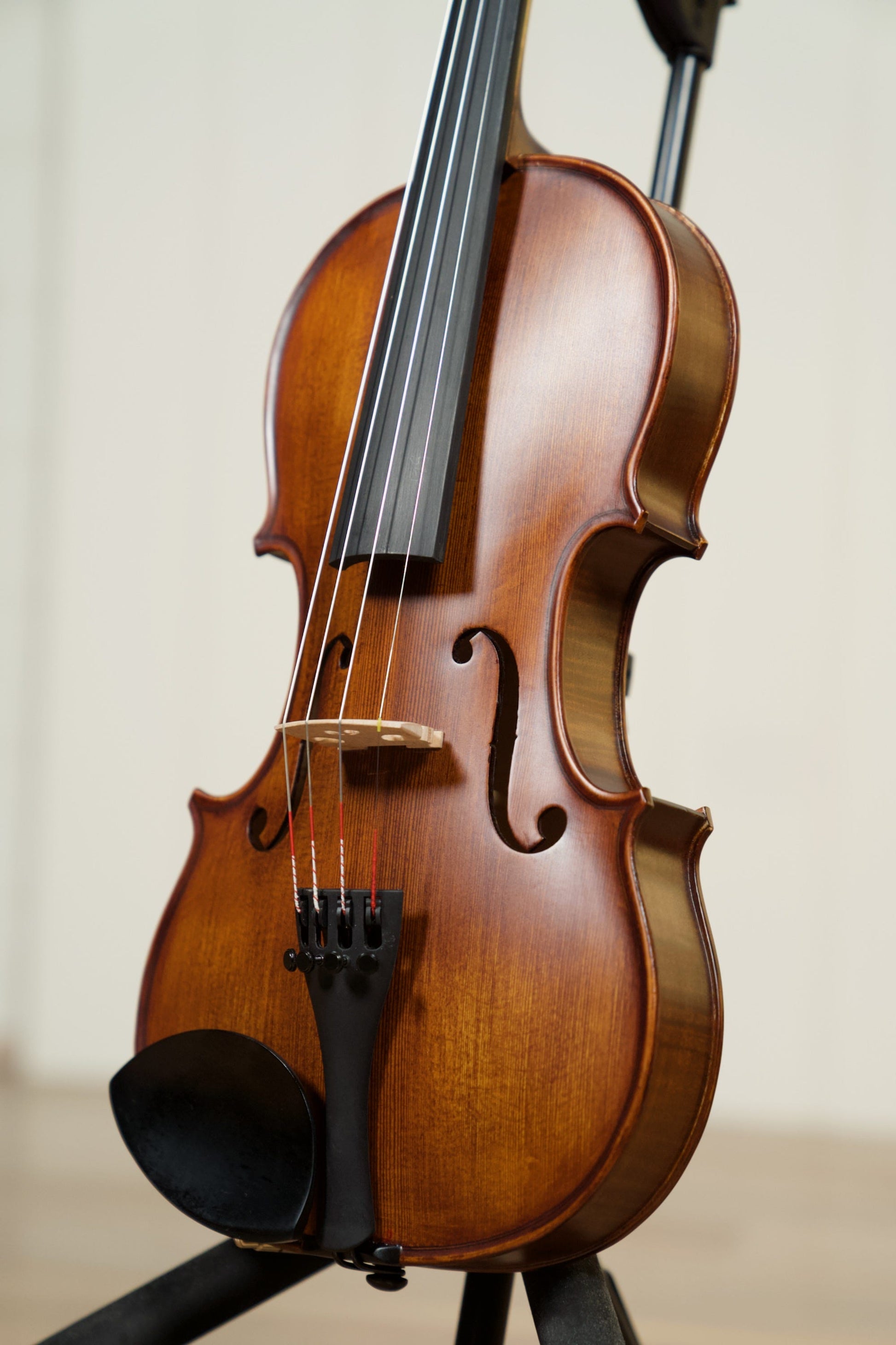 Enrico Custom Violin with Tonica Strings