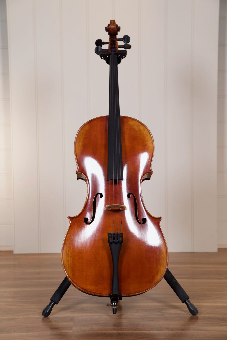 Raggetti Master Cello 6.1 4/4 Cello Outfit - Rocca ModelRaggetti Master Cello 6.1 4/4 Cello Outfit - Rocca Model