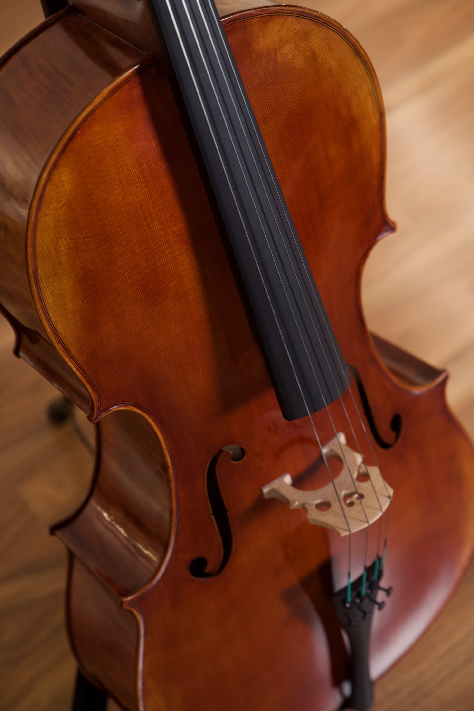 RAGGETTI MASTER CELLO 6.1 4/4 ROCCA MODEL W/SETUP INSTRUMENT ONLY