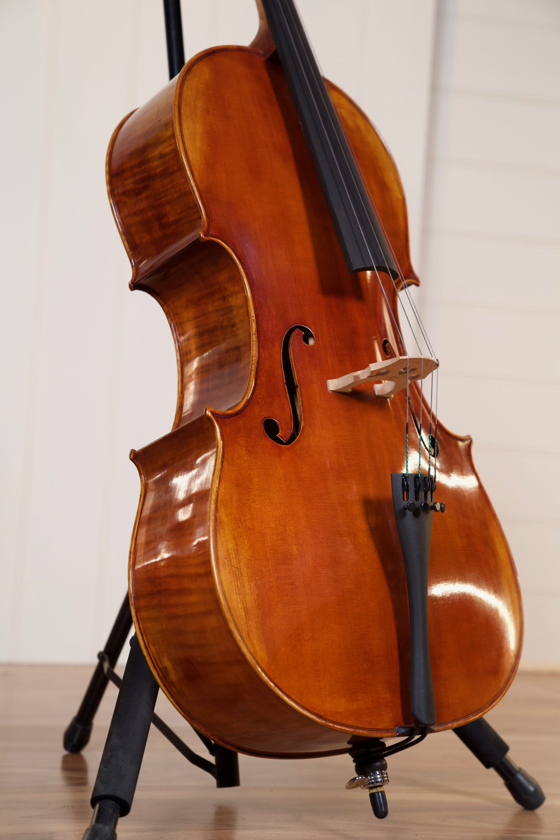 RAGGETTI MASTER CELLO 6.1 4/4 ROCCA MODEL W/SETUP INSTRUMENT ONLY
