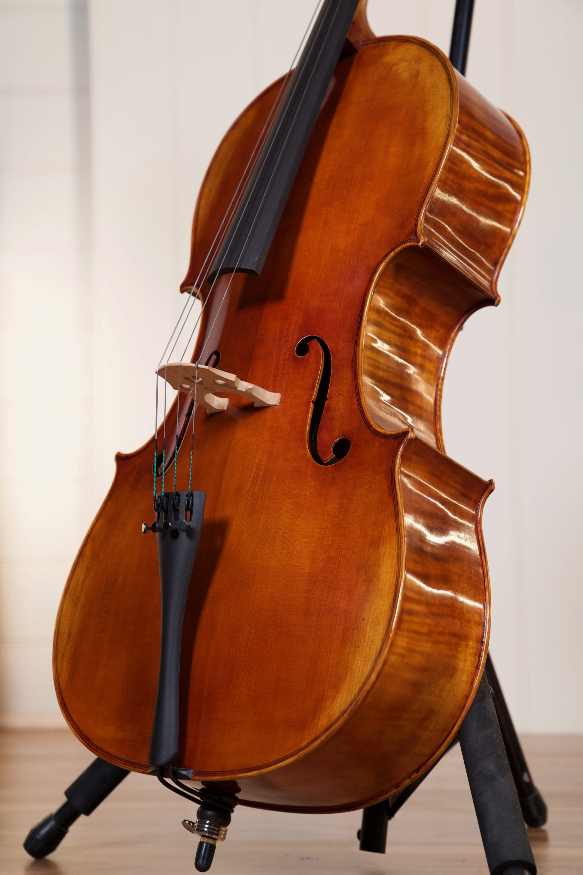 RAGGETTI MASTER CELLO 6.1 4/4 ROCCA MODEL W/SETUP INSTRUMENT ONLY