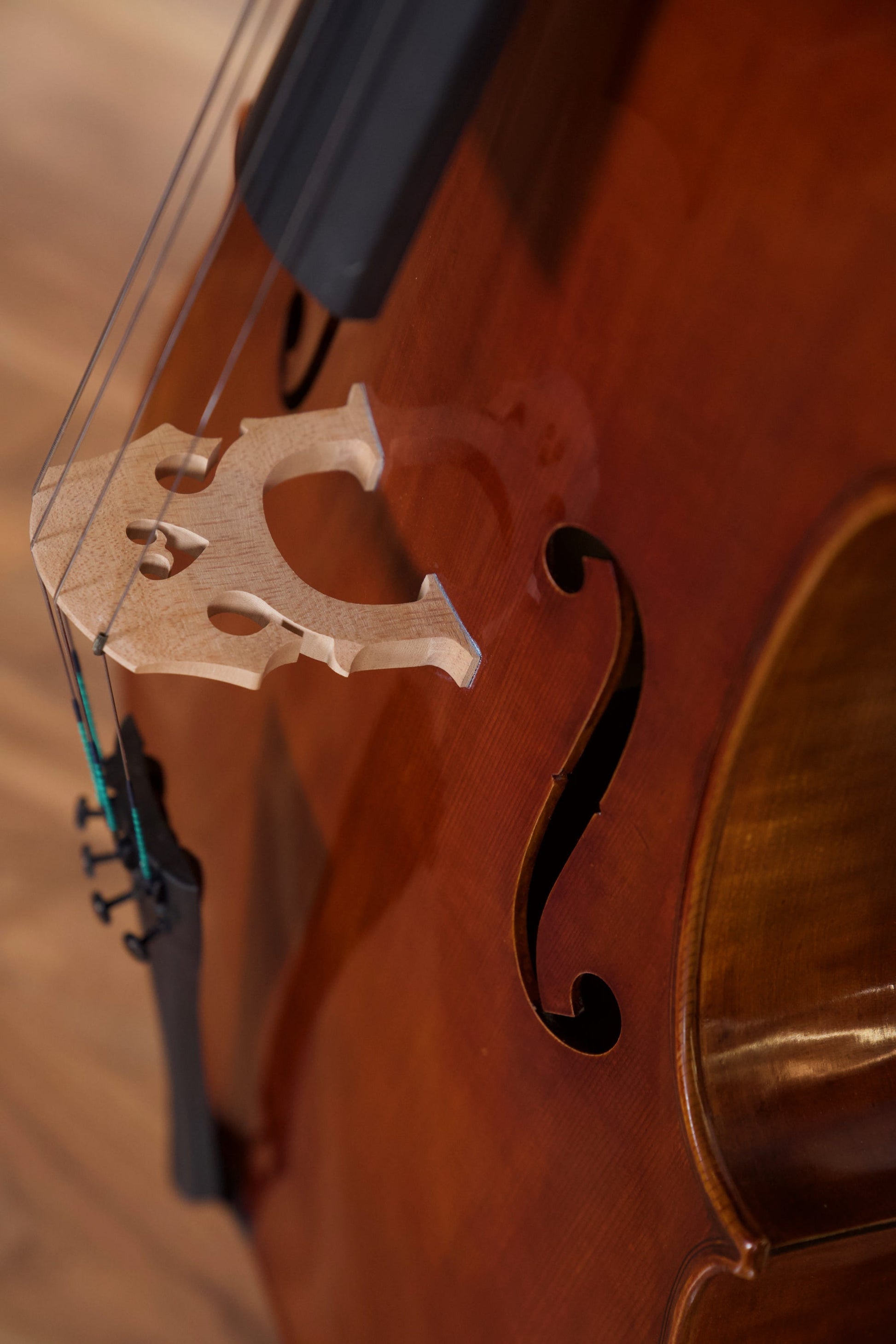 RAGGETTI MASTER CELLO 6.1 4/4 ROCCA MODEL W/SETUP INSTRUMENT ONLY