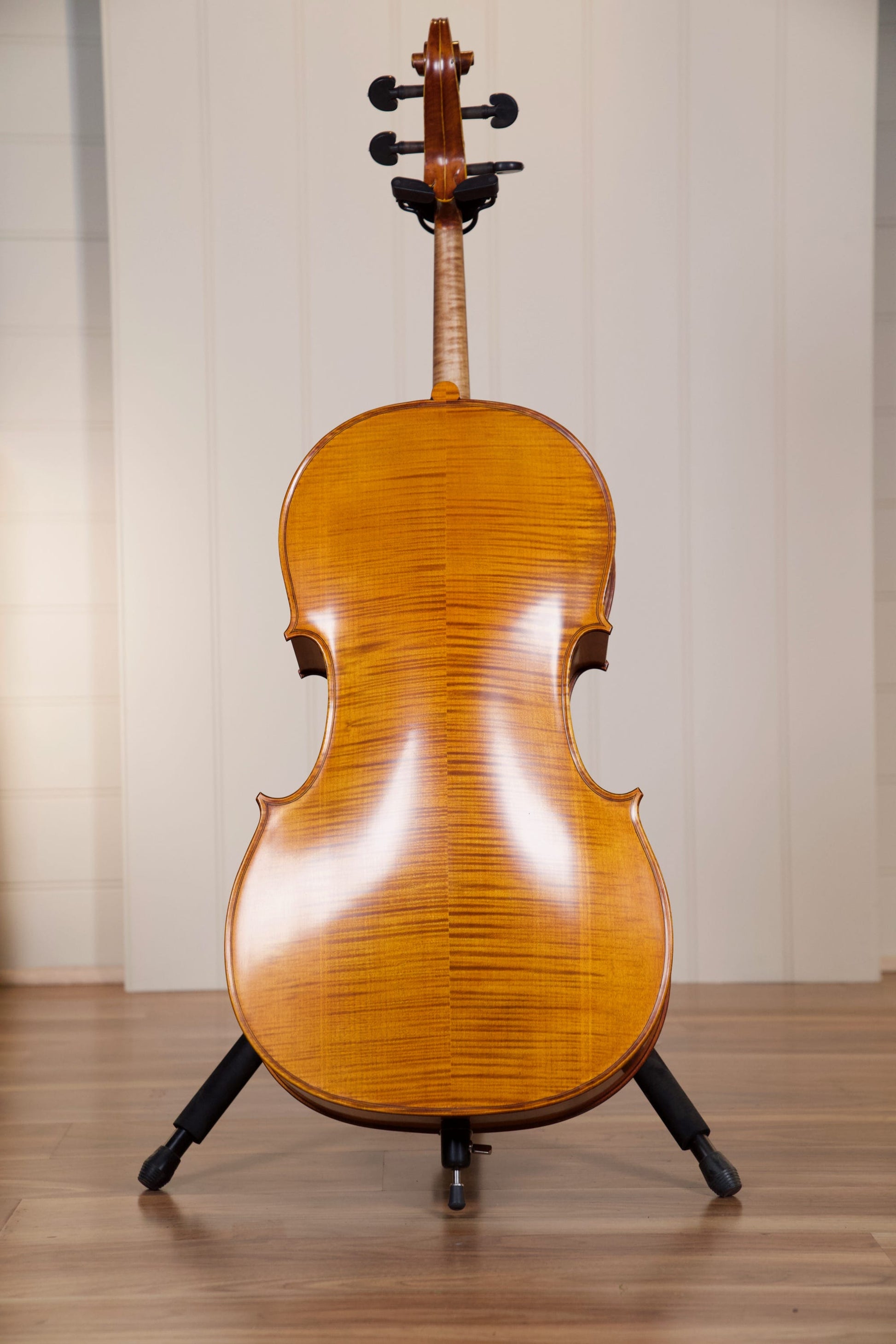 Vasile Gliga Advanced Cello Outfit 4/4 - Antique Oil Finish
