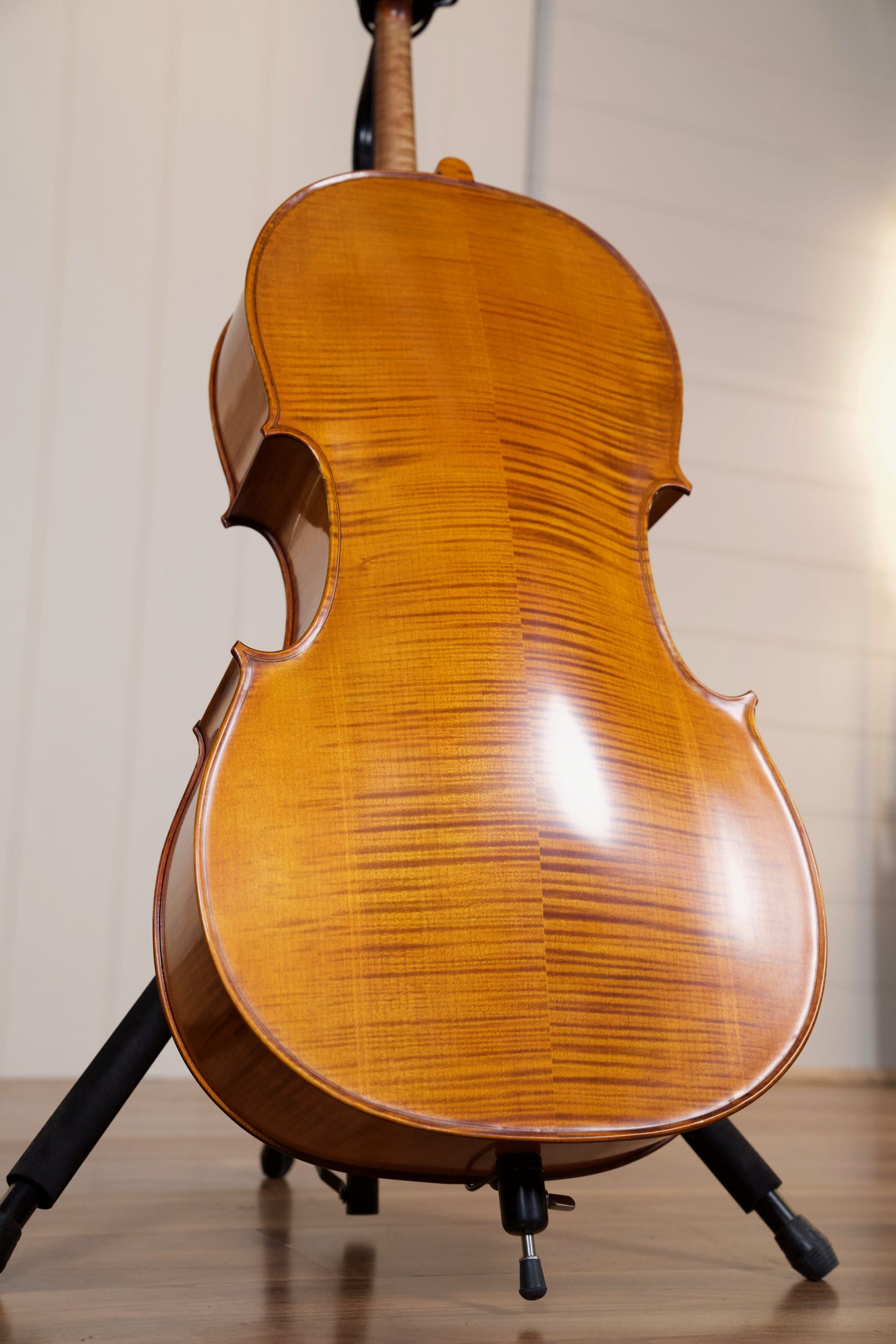 Vasile Gliga Advanced Cello Outfit 4/4 - Antique Oil Finish