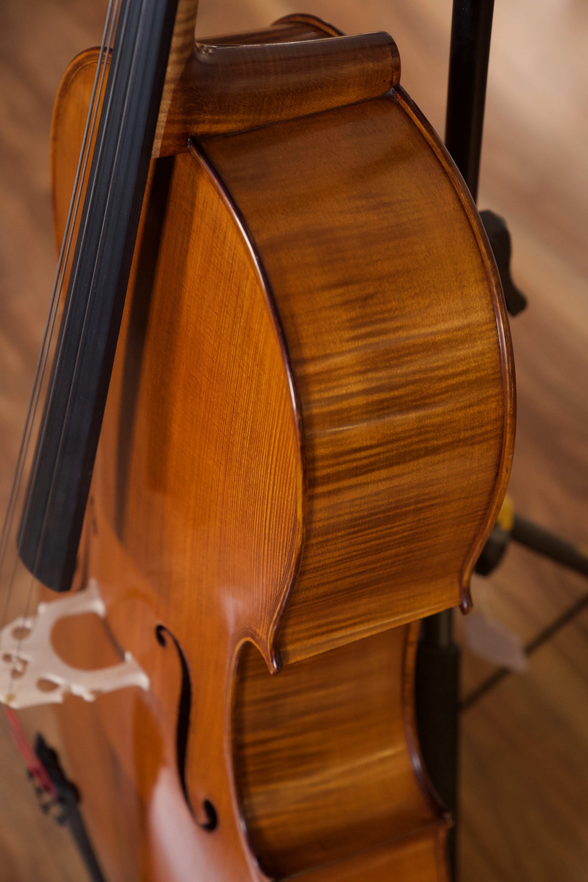 Vasile Gliga Advanced Cello Outfit 4/4 - Antique Oil Finish