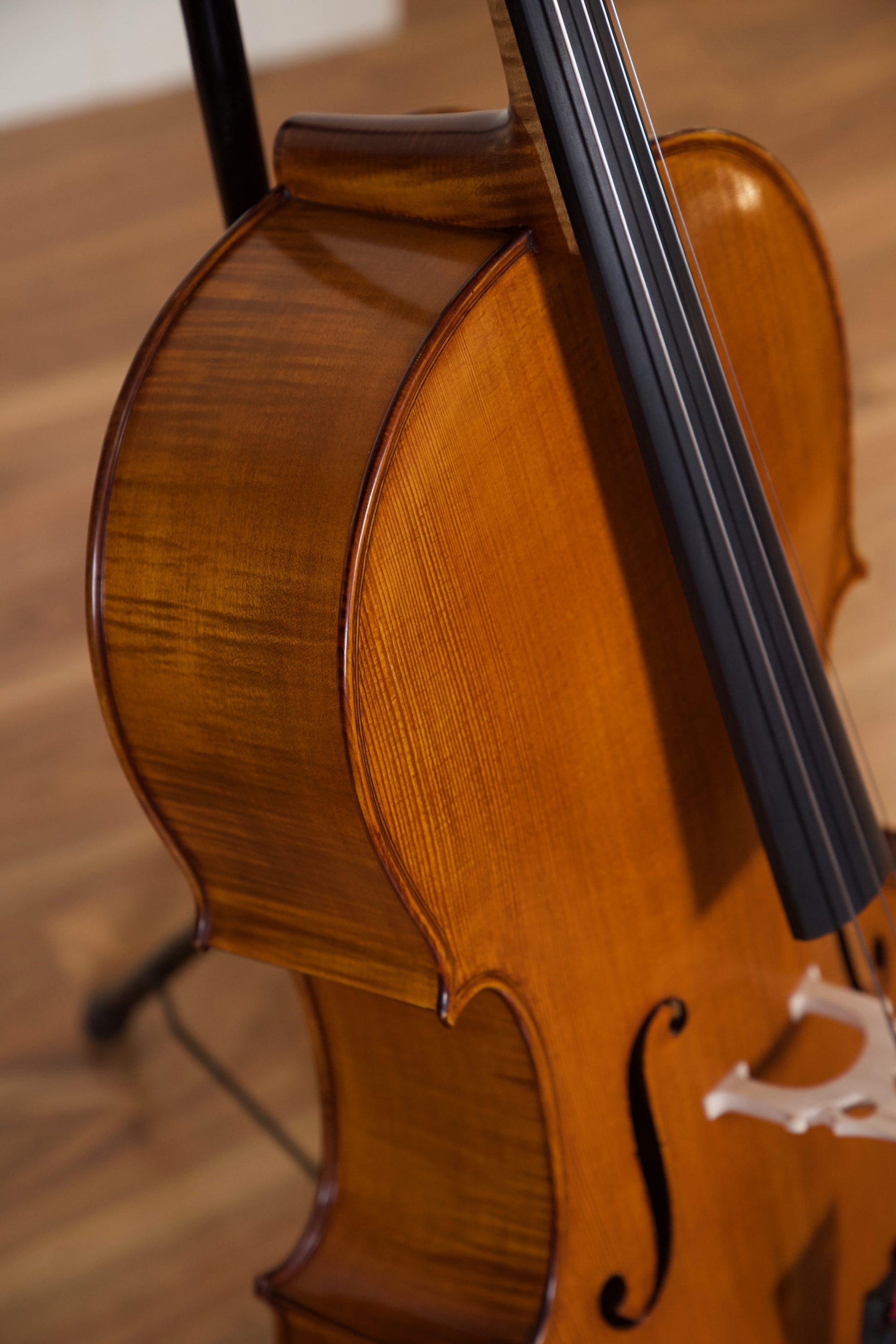 Vasile Gliga Advanced Cello Outfit 4/4 - Antique Oil Finish