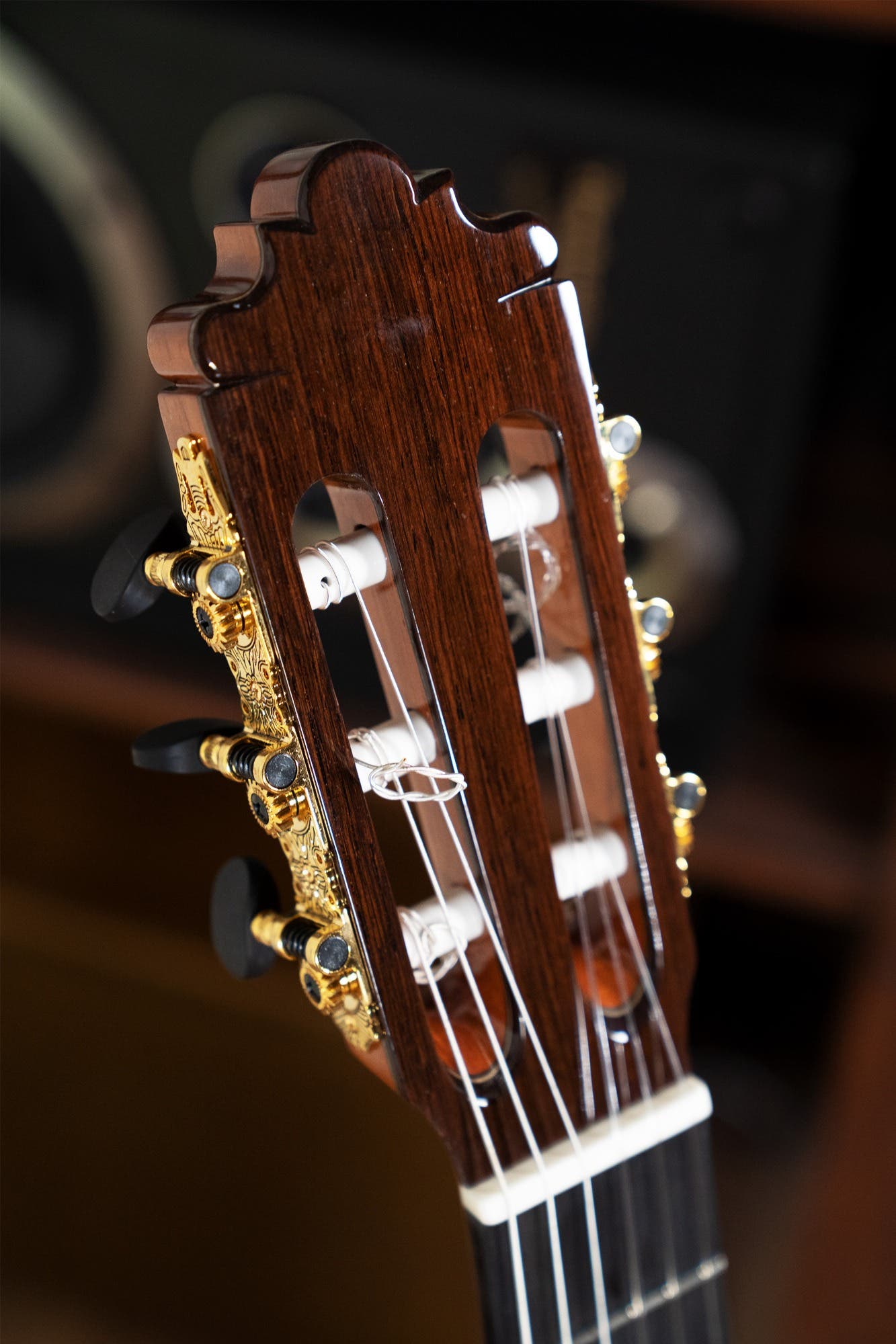 Altamira Guitars L'Orfeo SR Concert Level Classical Guitar w/Case - Solid Spruce / Rosewood