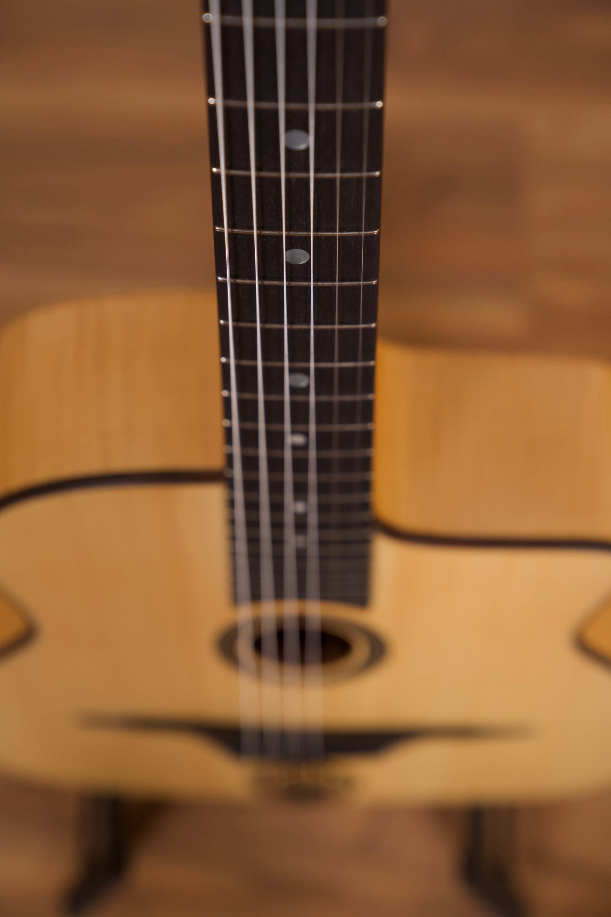 Altamira Guitars Model M Solid-Top Gypsy Jazz Guitar w/Padded Bag - Spruce/Maple