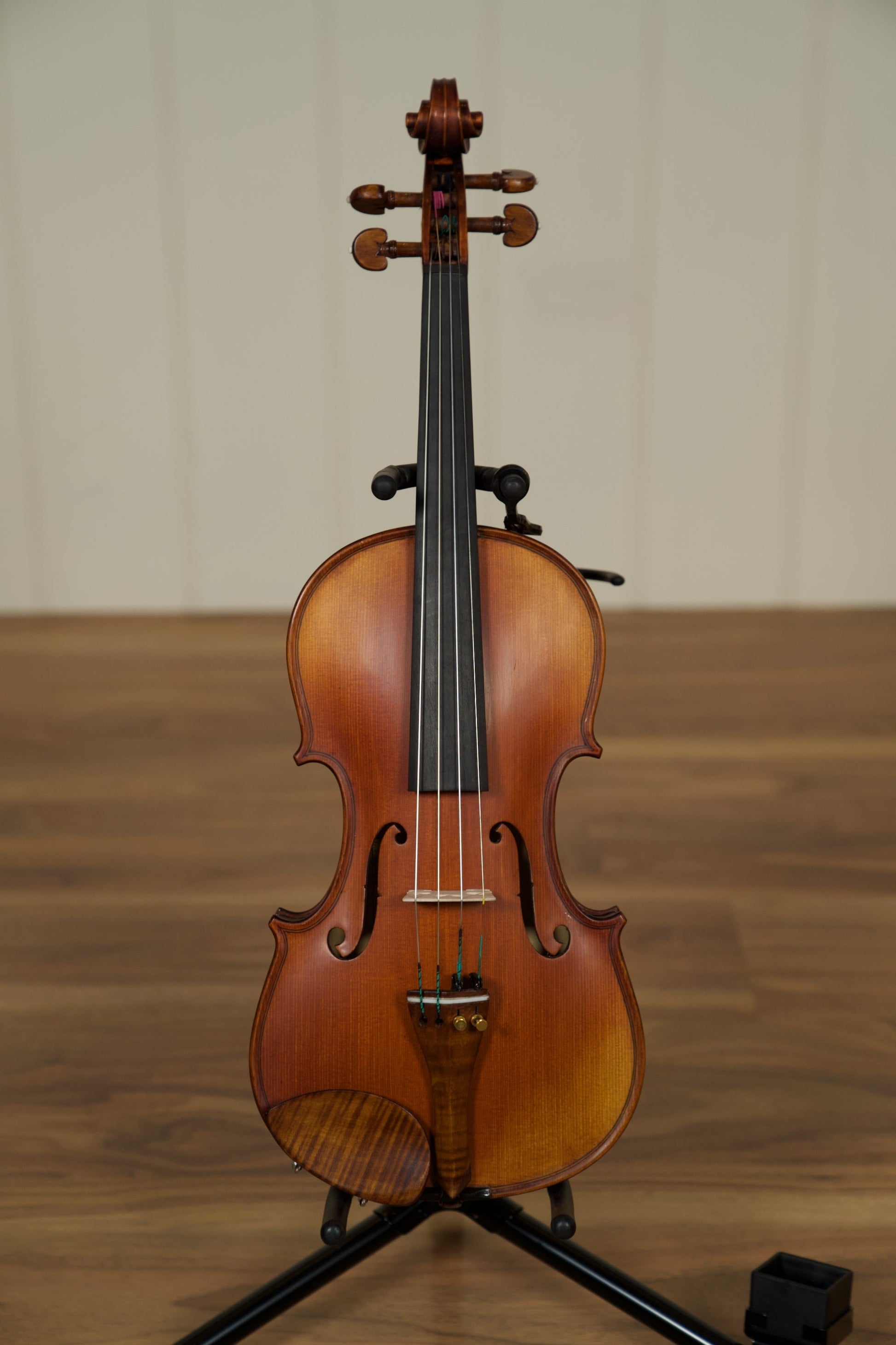 Gliga Vaslie Genova Violin with Evah Pirazzi Strings