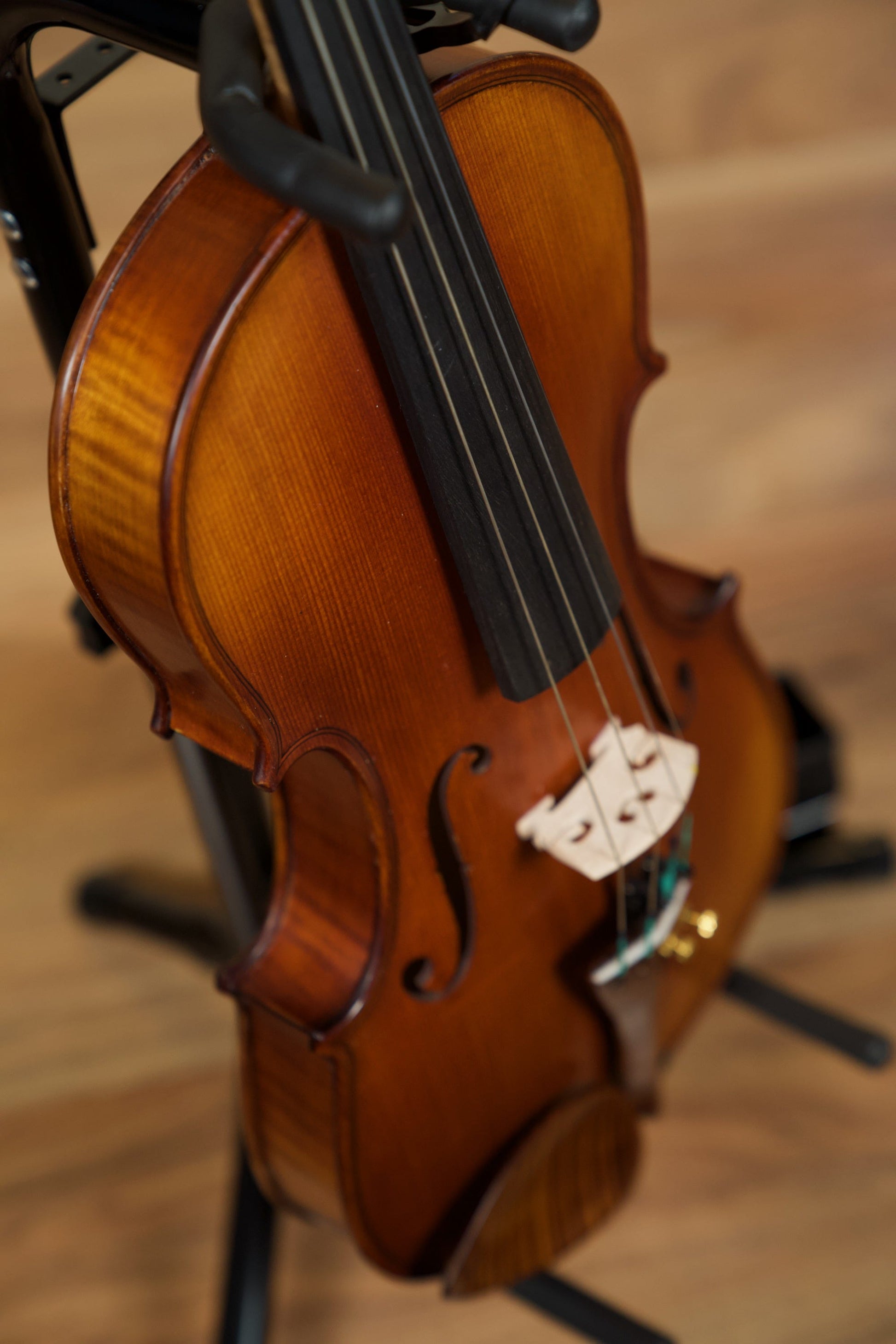 Gliga Vaslie Genova Violin w/Evah Pirazzi Strings