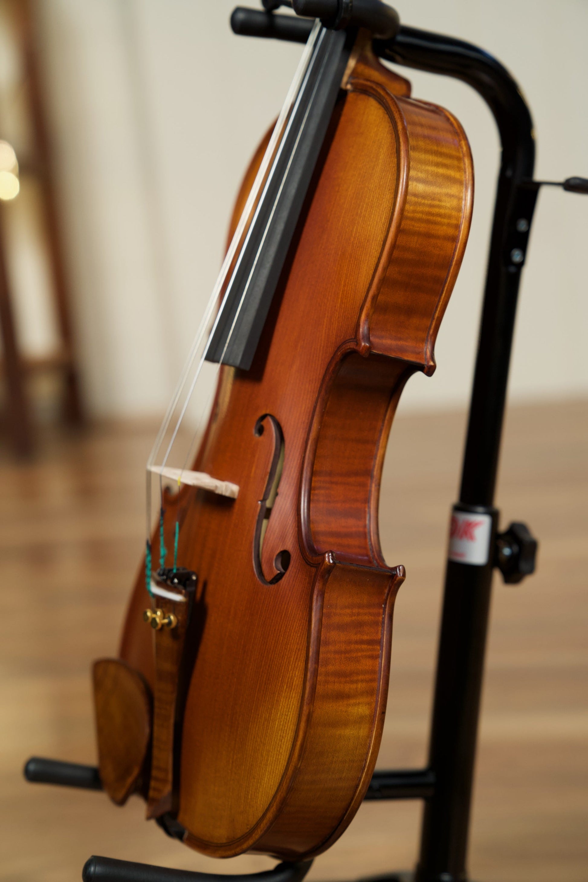 Gliga Vaslie Genova Violin w/Evah Pirazzi Strings