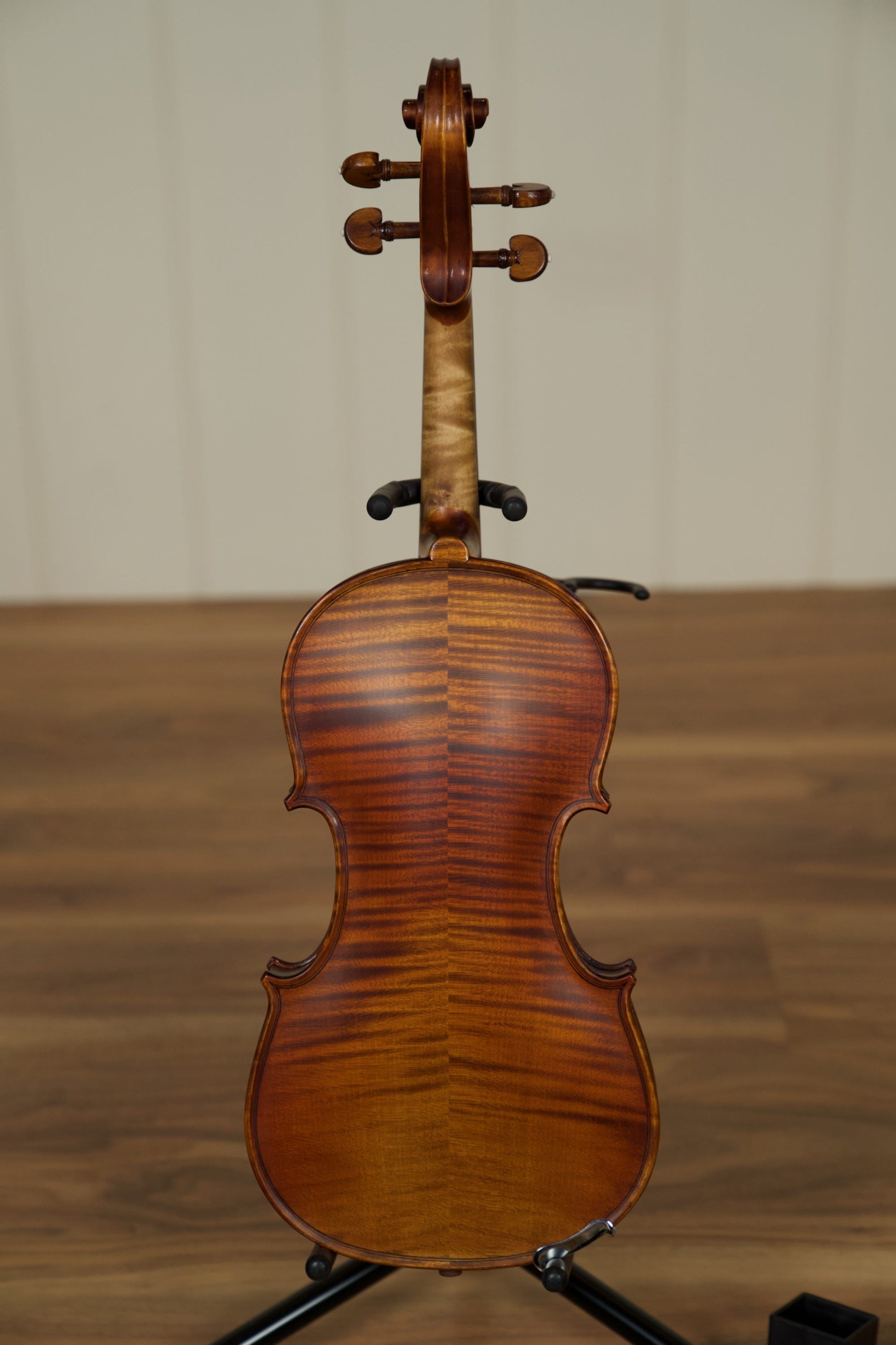 Gliga Vaslie Genova Violin w/Evah Pirazzi Strings