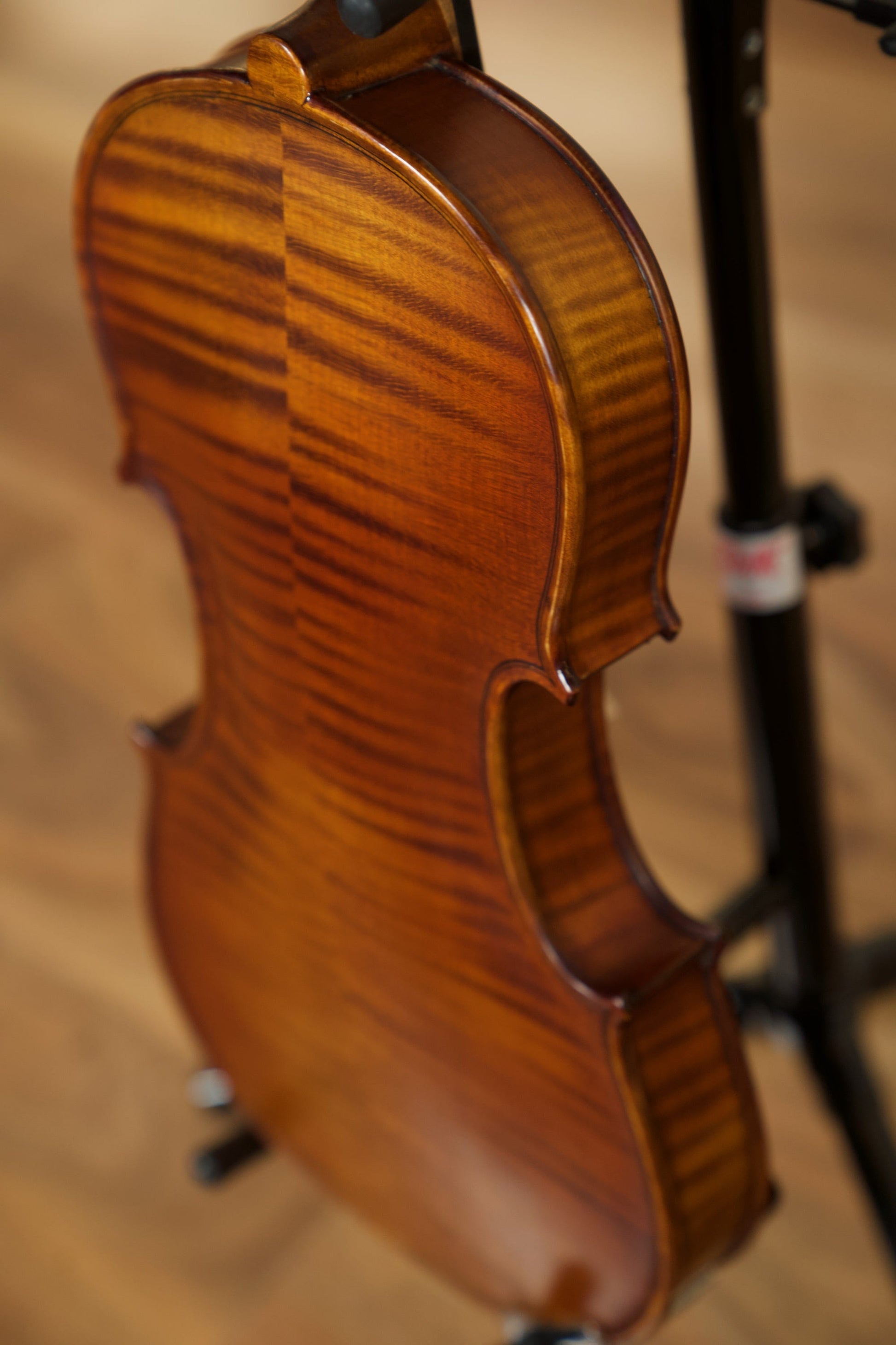 Gliga Vaslie Genova Violin w/Evah Pirazzi Strings