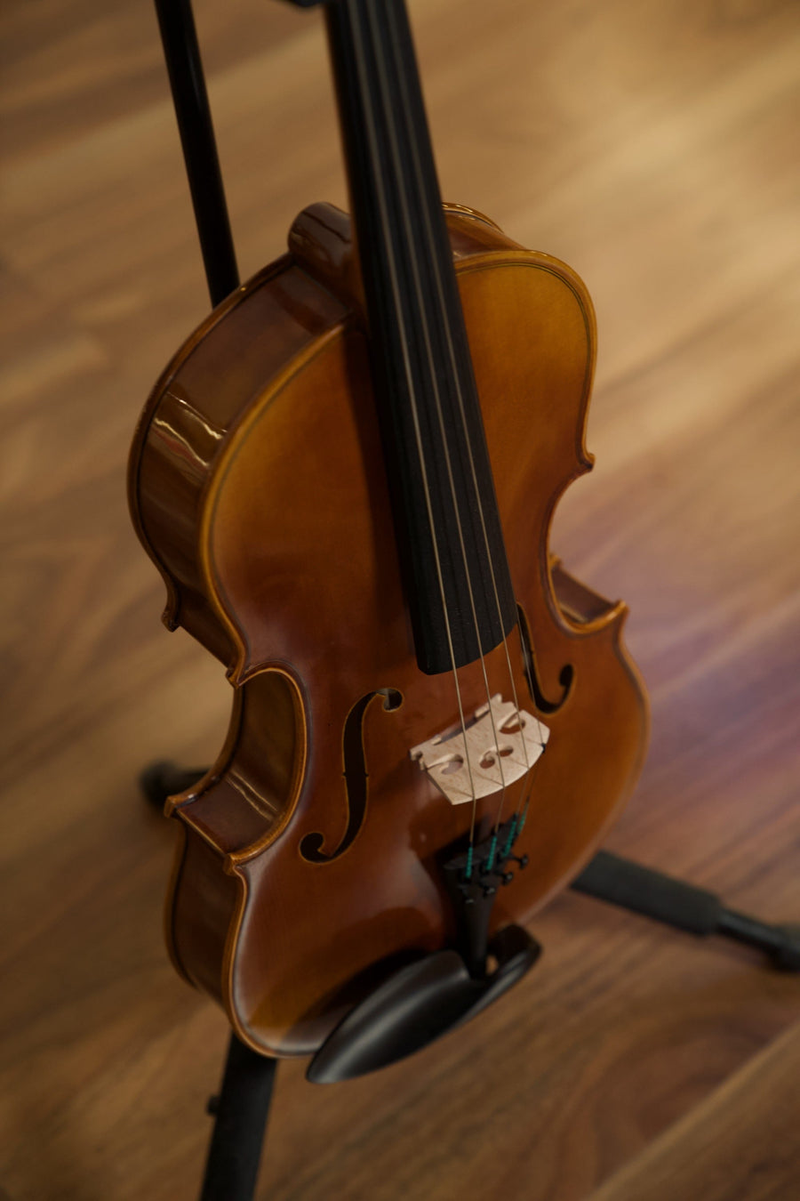 Raggetti RVA7 15-inch Viola w/Evah Pirazzi Strings