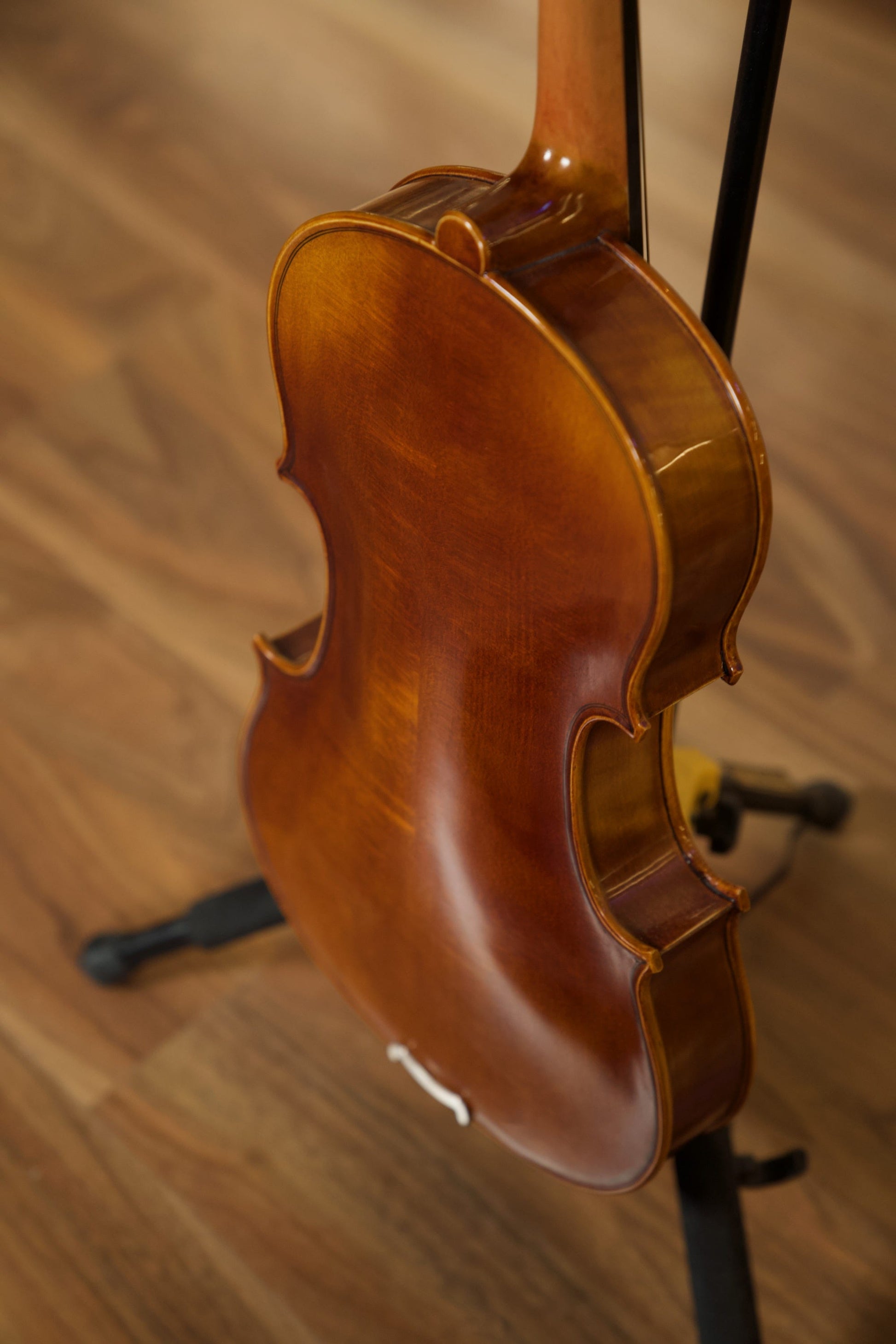 Raggetti RVA7 15-inch Viola w/Evah Pirazzi Strings