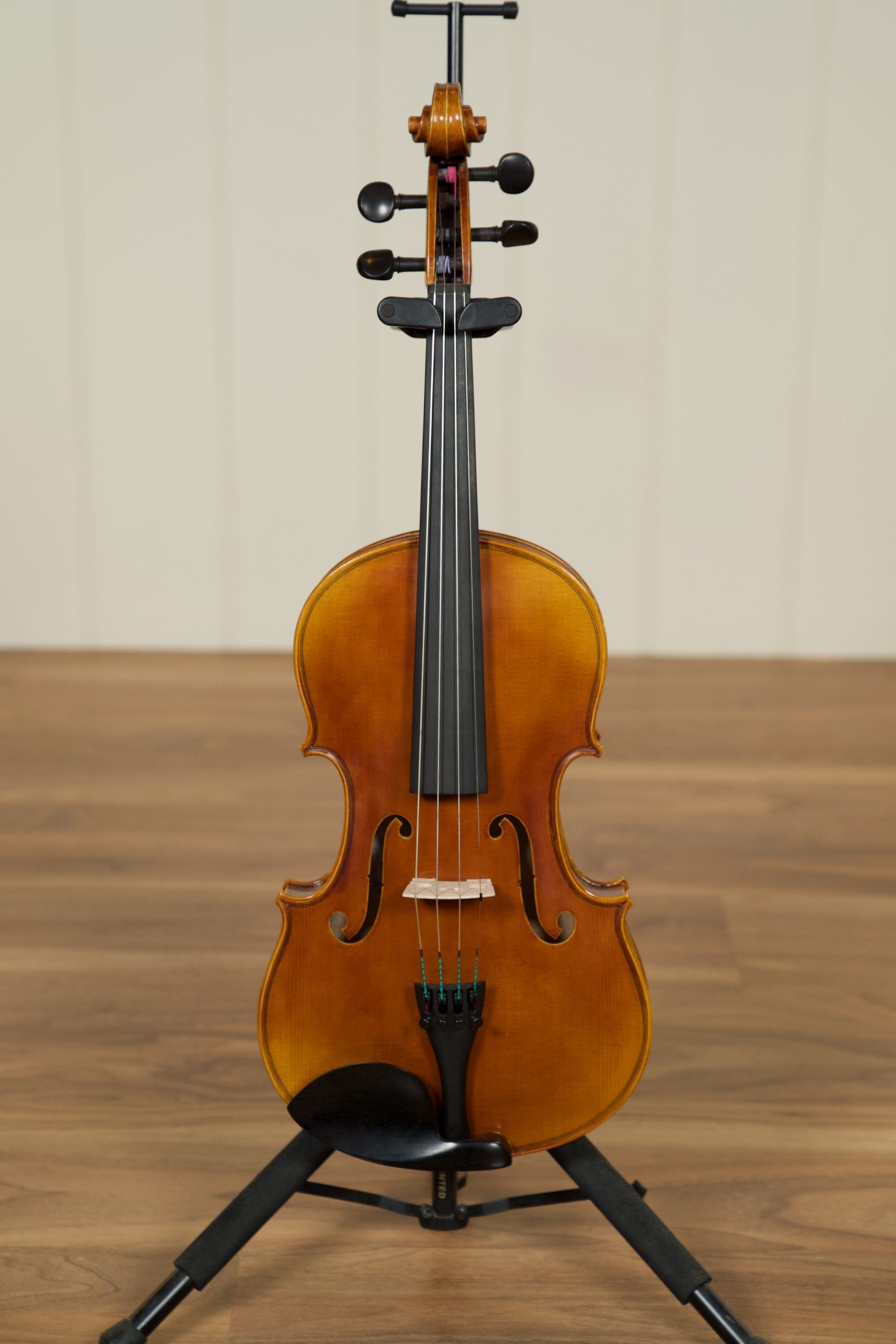Raggetti RVA7 15-inch Viola w/Evah Pirazzi Strings