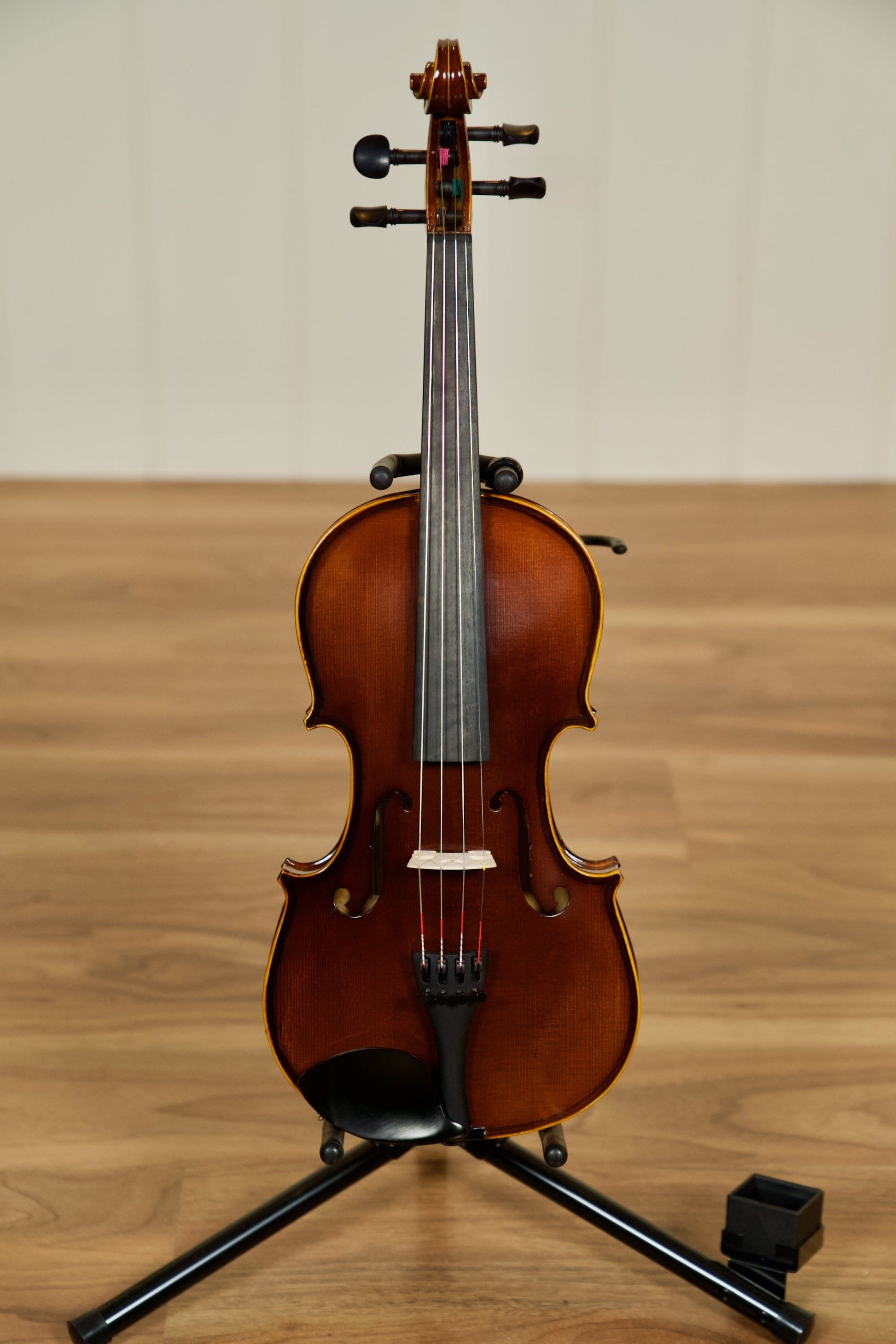 Schoenbach Violin Outfit