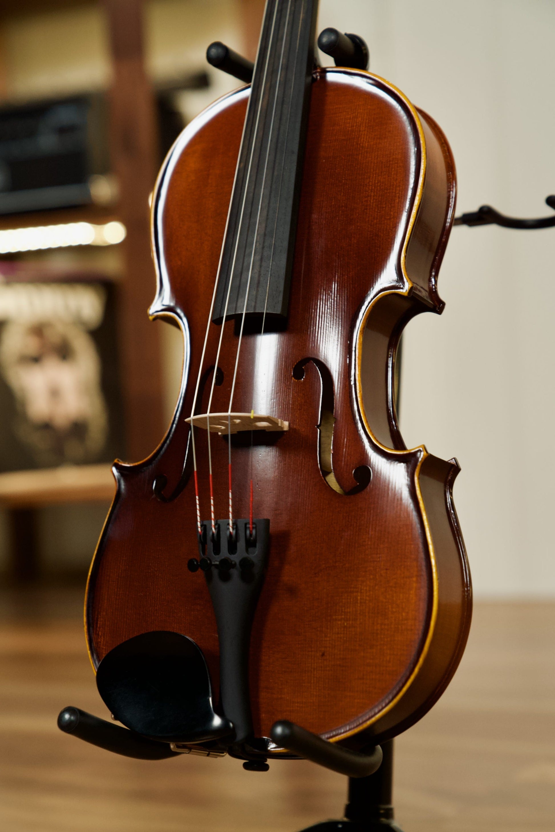 Schoenbach Violin Outfit