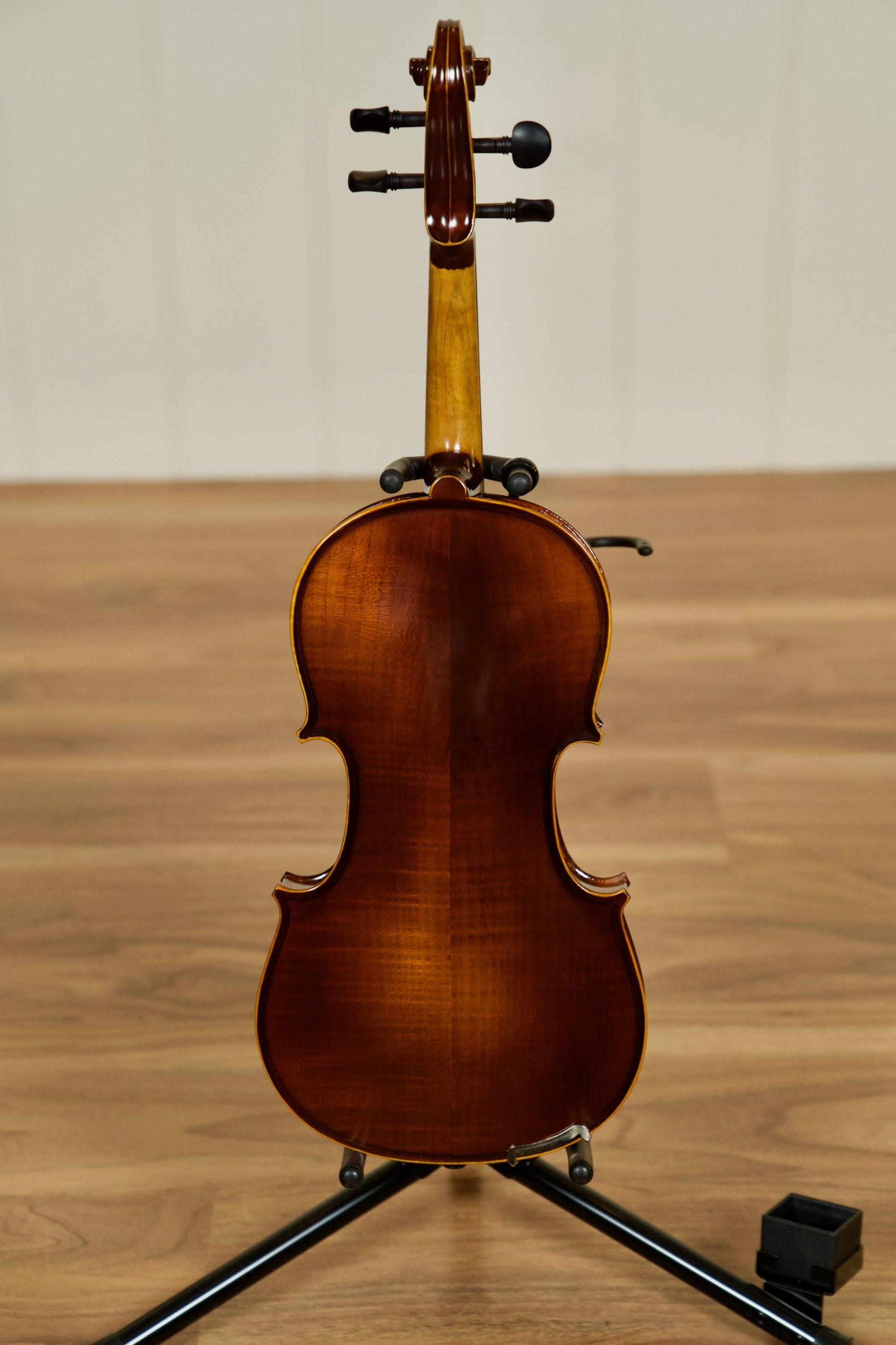 Schoenbach Violin Outfit