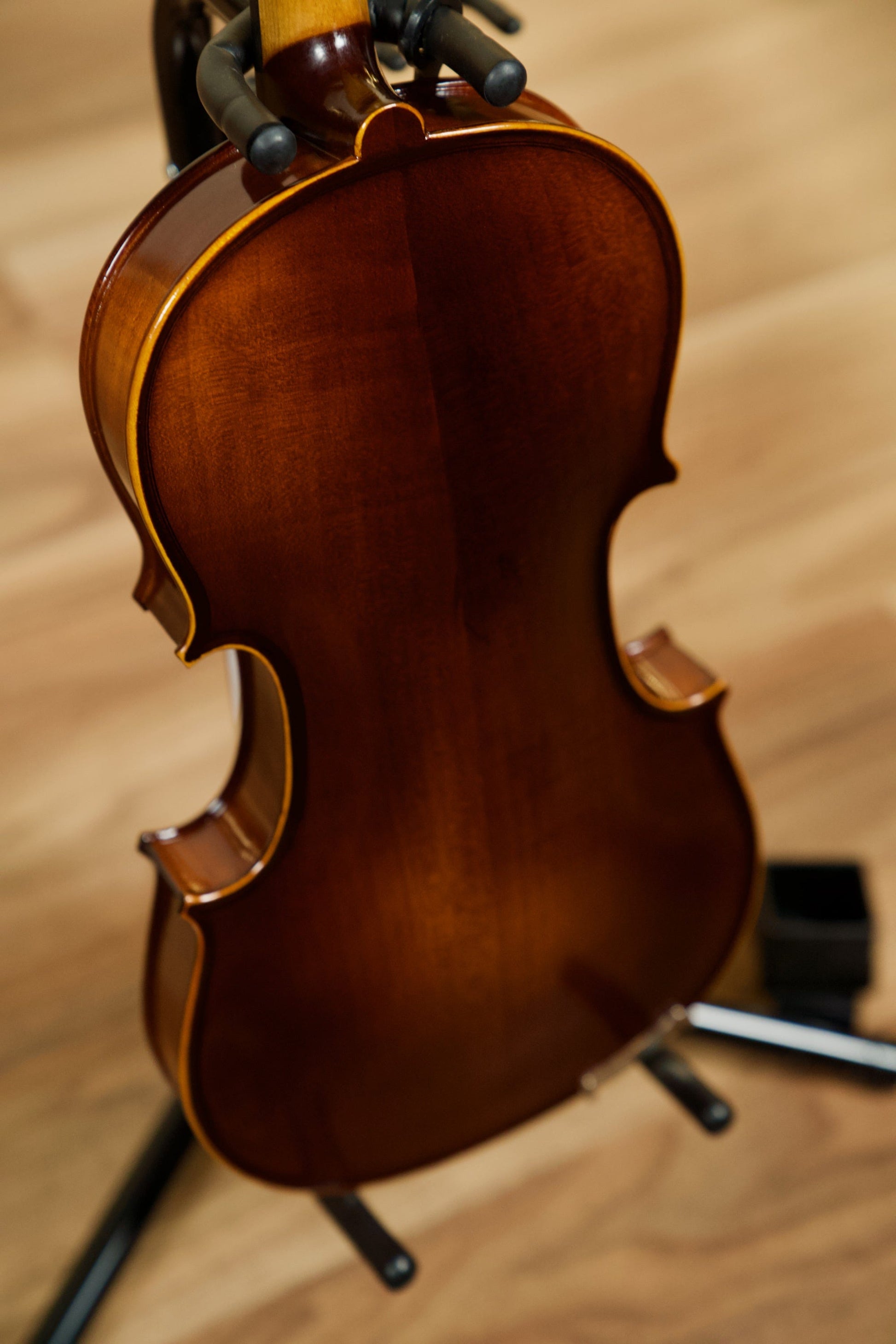 Schoenbach Violin Outfit