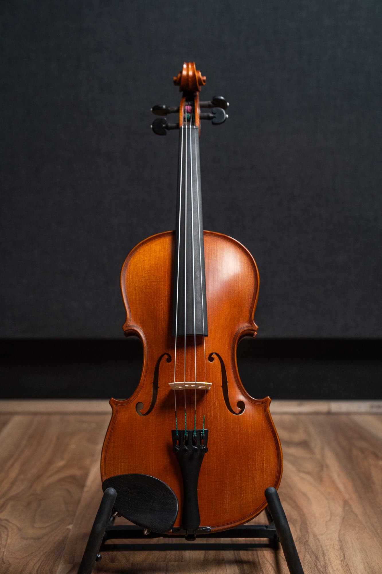 GLIGA VASILE 4/4 SUPERIOR MODEL VIOLIN - W/OPAL GOLD STRINGS (VIOLIN ONLY)